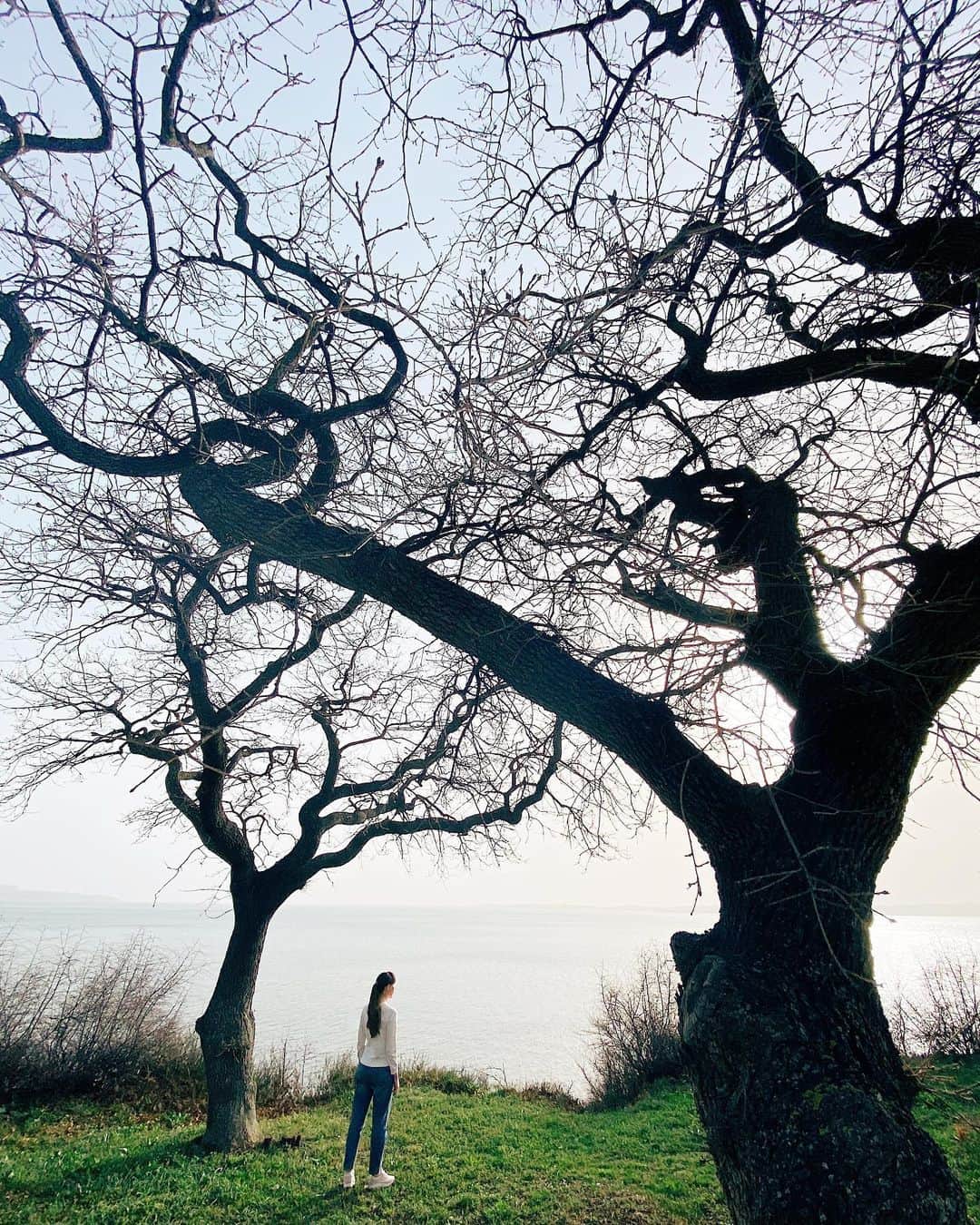 Ilya Mikhailovのインスタグラム：「Деревья #геленджик」