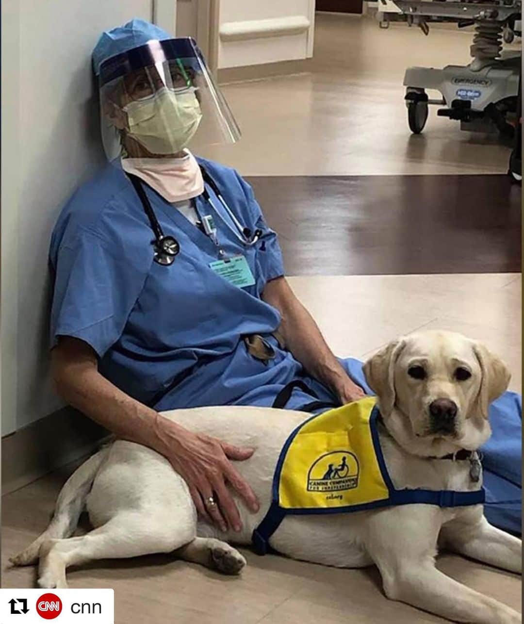 エリン・アンドリューズのインスタグラム：「❤️🐶❤️🐶 #Repost @cnn Wynn, a service dog in training, comforted medical staff on the front lines of the coronovirus fight in Denver on Sunday. "Seeing stuff and hearing stuff that you can't unsee has an impact on you," said Susan Ryan (above, with Wynn), an emergency physician at Rose Medical Center. "That's where the dogs come in. When you are in the presence of the dog and petting them you are taking a moment to ground yourself at that present time." (📸: Susan Ryan)」