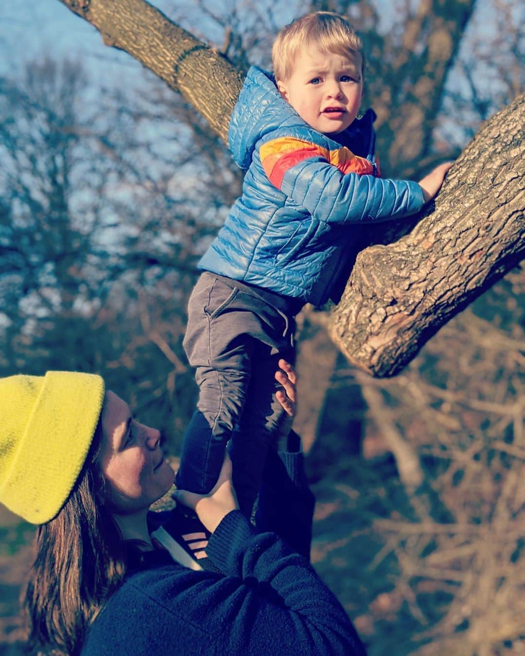 タラ・リンのインスタグラム：「The playgrounds are taped off so we’re using actual trees」