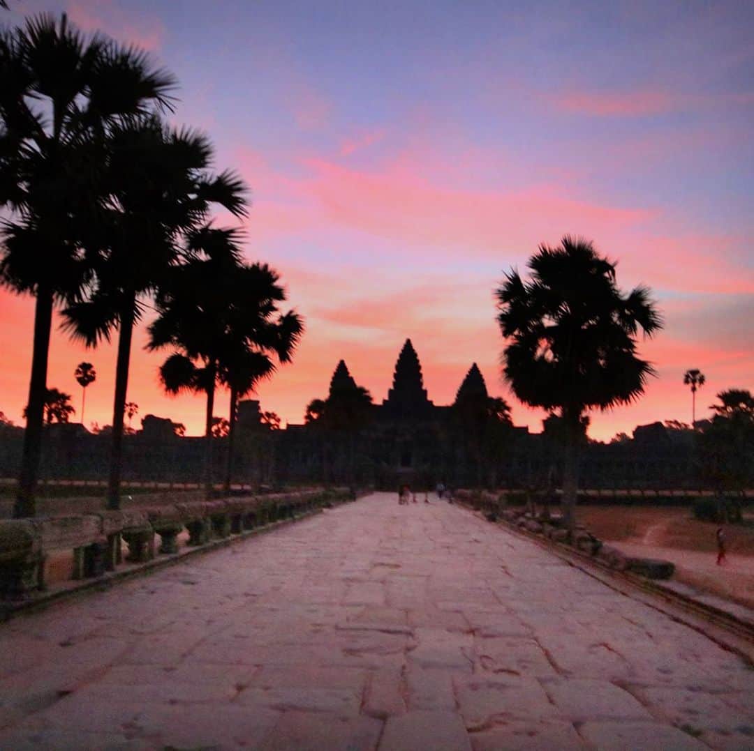 大桃美代子さんのインスタグラム写真 - (大桃美代子Instagram)「Angkor Wat sunrise🇬🇧、、 吴哥窟日出🇨🇳、、 앙코르 와트의 아침 놀🇰🇷、、 アンコールワットの朝焼け。🇯🇵 紫からピンクに変わる色合いが幻想的でした。  詳しくは、ブログに後日。  祈りの朝でした。  #앙코르와트#アンコールワット#angkorwat#シェムリアップ#シェムリアップ日本語ガイド ##FAMTrip #Cambodia#カンボジア#朝焼け#タビジョ#funtotrip#世界平和 #KingdomofWonderFeeltheWarmth#写真で旅しよう」3月27日 3時53分 - miyoko_omomo