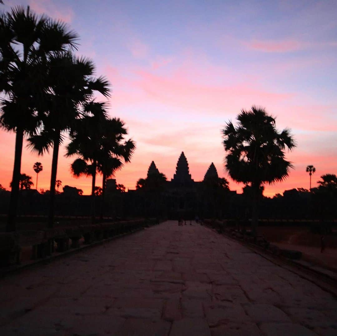 大桃美代子さんのインスタグラム写真 - (大桃美代子Instagram)「Angkor Wat sunrise🇬🇧、、 吴哥窟日出🇨🇳、、 앙코르 와트의 아침 놀🇰🇷、、 アンコールワットの朝焼け。🇯🇵 紫からピンクに変わる色合いが幻想的でした。  詳しくは、ブログに後日。  祈りの朝でした。  #앙코르와트#アンコールワット#angkorwat#シェムリアップ#シェムリアップ日本語ガイド ##FAMTrip #Cambodia#カンボジア#朝焼け#タビジョ#funtotrip#世界平和 #KingdomofWonderFeeltheWarmth#写真で旅しよう」3月27日 3時53分 - miyoko_omomo