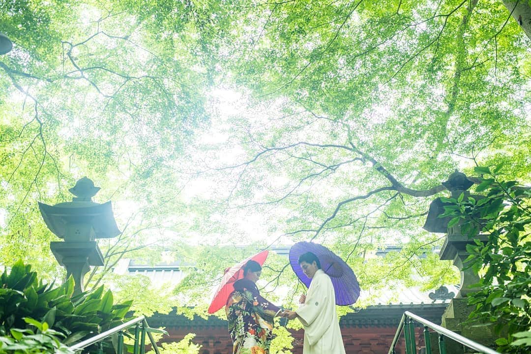 鎌倉プリンスホテル写真室_la-vie factoryのグルメインスタ