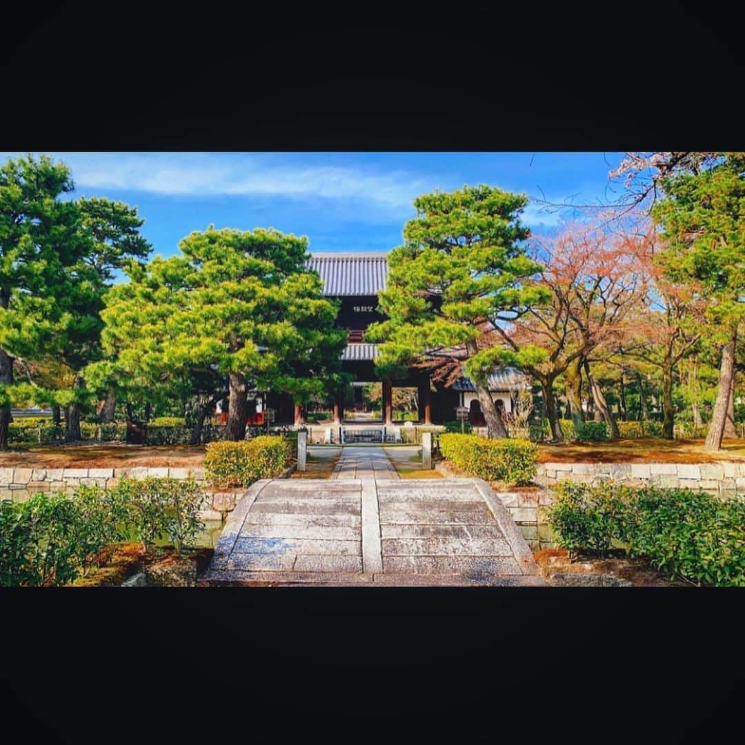 さきえのグルメインスタ