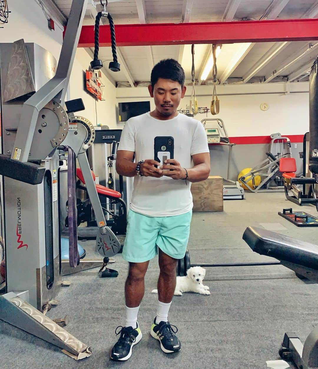 タッド・フジカワさんのインスタグラム写真 - (タッド・フジカワInstagram)「I miss Halo.🐶🥺 and I miss the gym. 💪🏽 So here's a selfie a clown.🤡😂 • • #gym #selfie #smile #dog #puppy #maltese #professional #golf #athlete #asian #life #love #home #hawaii #oahu #travel #adventure #pride #visibility #inspiration #gay #instagay #gayguy #gayboy #inclusion #lgbtq #advocate #activist #instagram #influencer」3月27日 7時46分 - taddy808