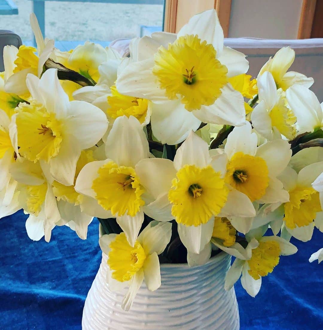 キム・キャトラルさんのインスタグラム写真 - (キム・キャトラルInstagram)「Thank goodness my garden doesn’t know our world is shutting down. #springflowers #bloomsoftheday」3月27日 8時32分 - kimcattrall