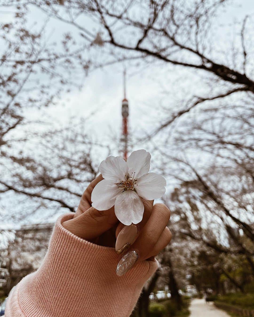 佐藤あずみのインスタグラム：「𝑝𝑟𝑎𝑦𝑓𝑜𝑟𝑡ℎ𝑒𝑤𝑜𝑟𝑙𝑑🌎 . 早く平和な日常に戻りますように🌸 こんな時だからこそ気持ちに余裕を持てたら良いよね！！ . お友達のさおちゃんが、なんか必要なものあったら明日買い物行くついでに送れるから言ってね！って連絡くれて、自分も大変な時に他人のことを考えられるって素晴らしくて、すごく心が綺麗だなってなんかジーンとしてしまった！ ありがとう🥺💓 . 人のことを思う気持ちって大切！嫌なことも、良いこともいつか自分に返ってくるんだよ！ならたくさん良い事したい！笑 . 今日の魔女の宅急便楽しみだ！だいちゃことゴロゴロしながら見るんだ！ . #prayfortheworld #prayforworld」