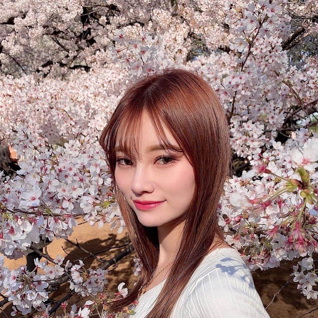 金子実加のインスタグラム：「すでに引きこもりですが…🥺 週末は一歩も出ないで、自粛ですね！ 先日は、桜が綺麗でした🌸 みなさんも出来る対策をして、 お身体ご自愛くださいね✨✨ . . . . . . . . . . #桜　#🌸　#cherryblossom #東京」