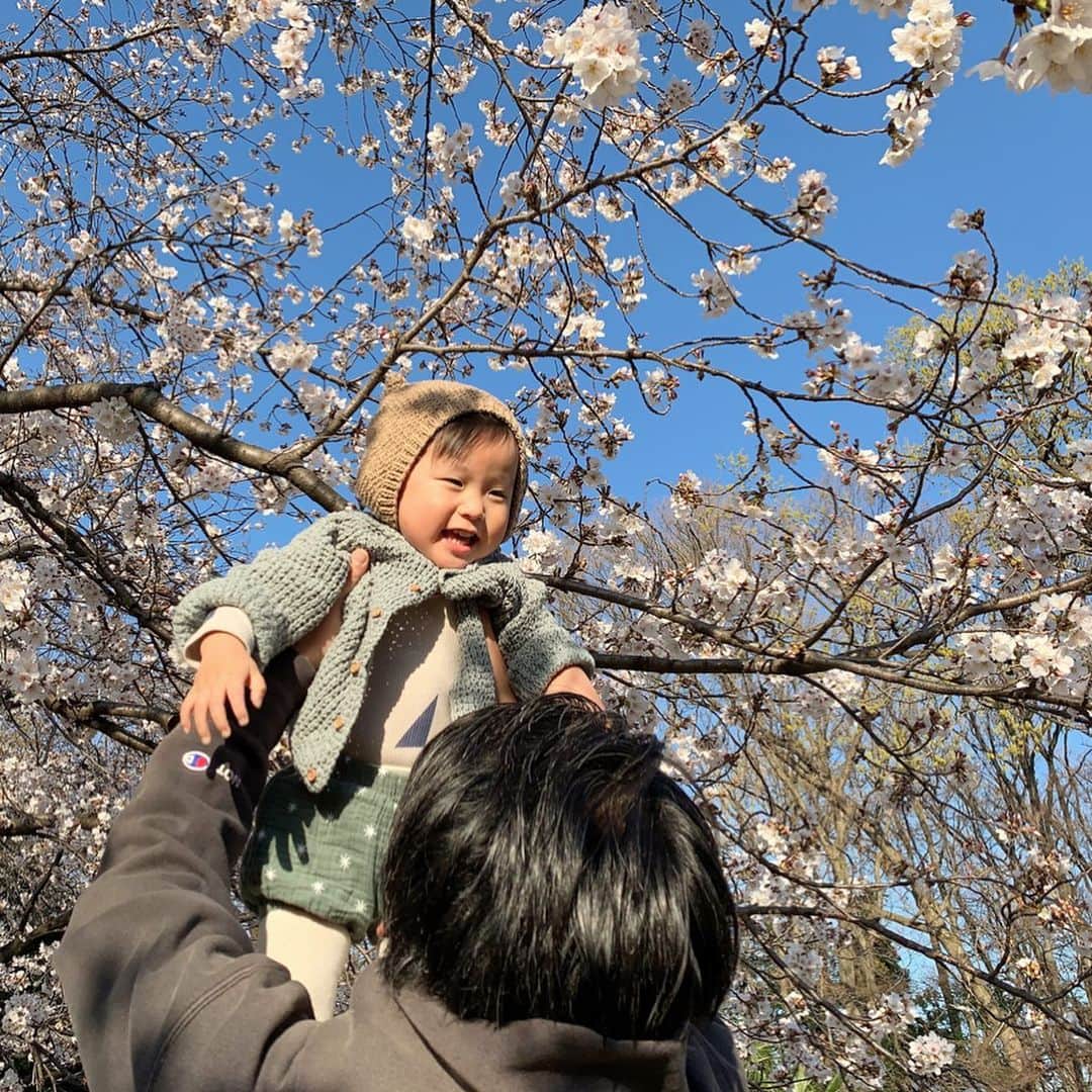 ᴋᴀɴᴀᴋöさんのインスタグラム写真 - (ᴋᴀɴᴀᴋöInstagram)「たかい たかーい🚀🌸🌸🌸 * #桜#1歳11ヶ月#男の子#春#お散歩#笑顔#🇯🇵」3月27日 18時08分 - kanakokko_34_