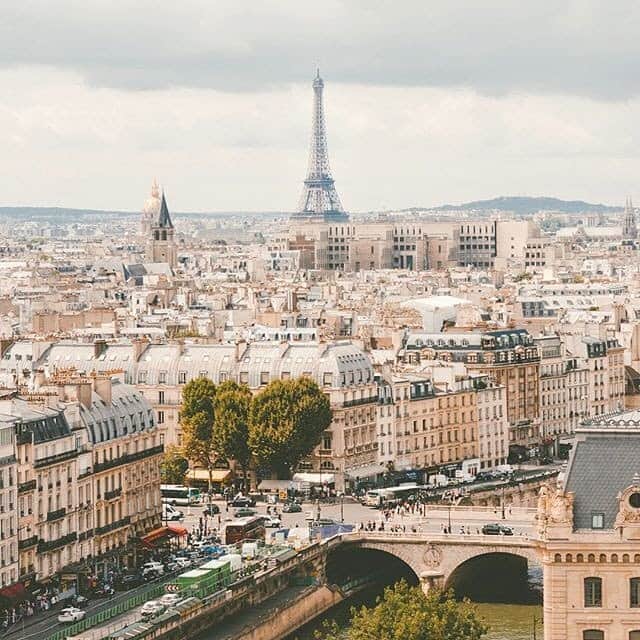 SAINT HONORE Japanのインスタグラム：「Paris style🇫🇷 サントノーレパリ . . . #サントノーレパリ #sainthonoreparis  #stayathome」