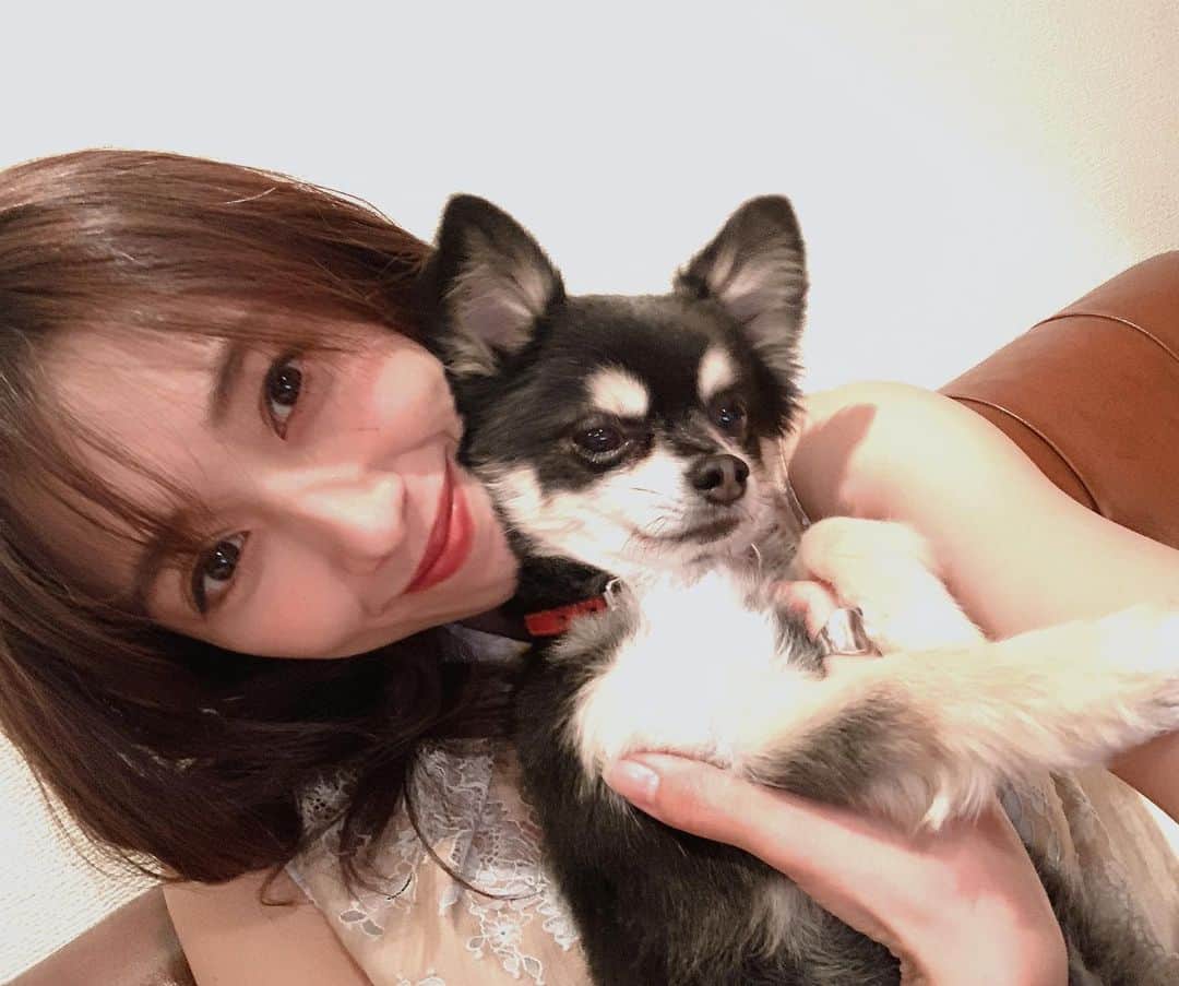 のインスタグラム：「タオに癒されている日々。  世の中が落ち着いたら、元気にドッグランいきたいなぁ〜🐾🐾  #タオ #タオ丸 #愛犬」