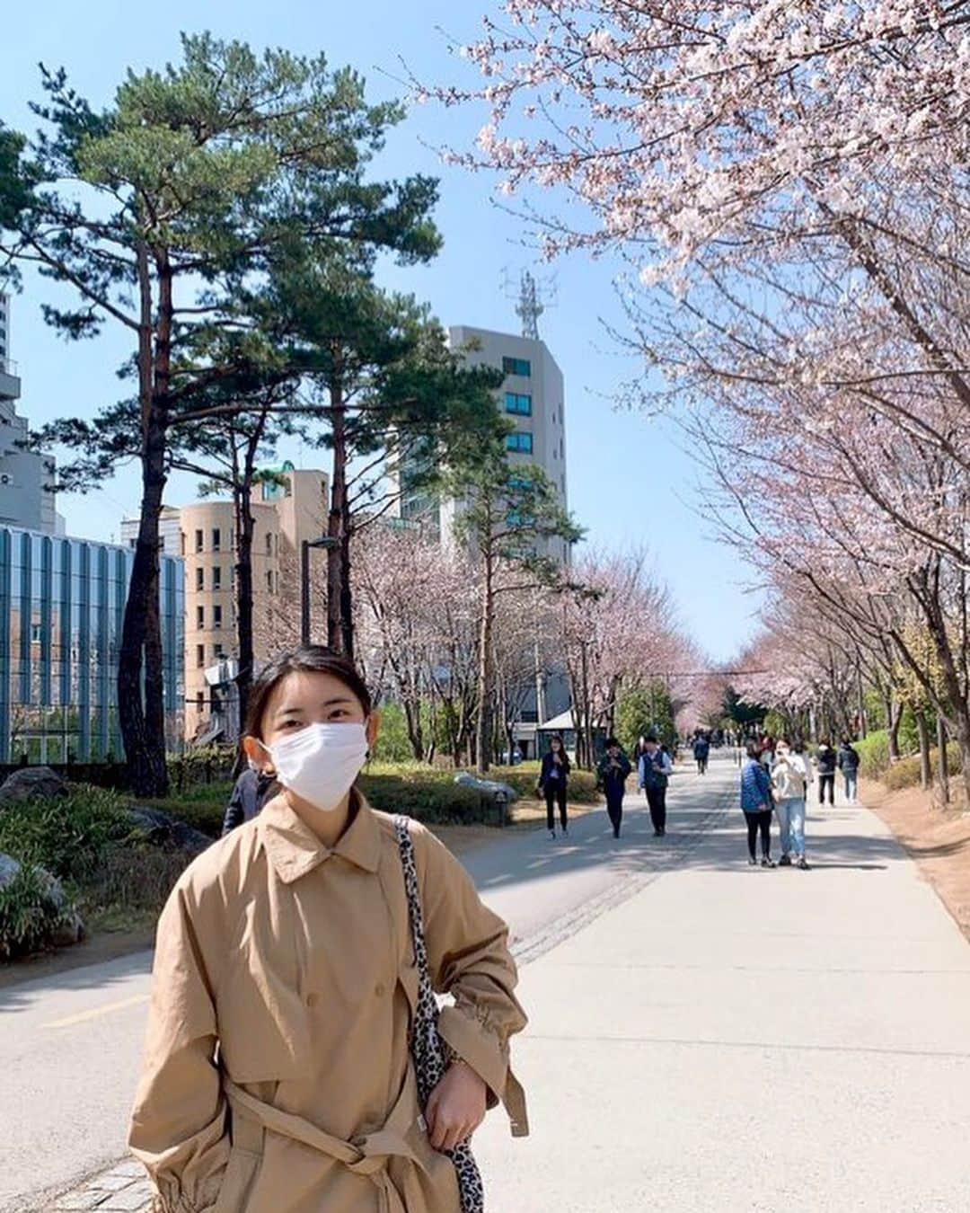 ソヒョン さんのインスタグラム写真 - (ソヒョン Instagram)「생각보다 꽃이 많이 폈네요 이제 봄이 오나봄 🎵🌸🌸」3月27日 18時33分 - kkwonsso_94