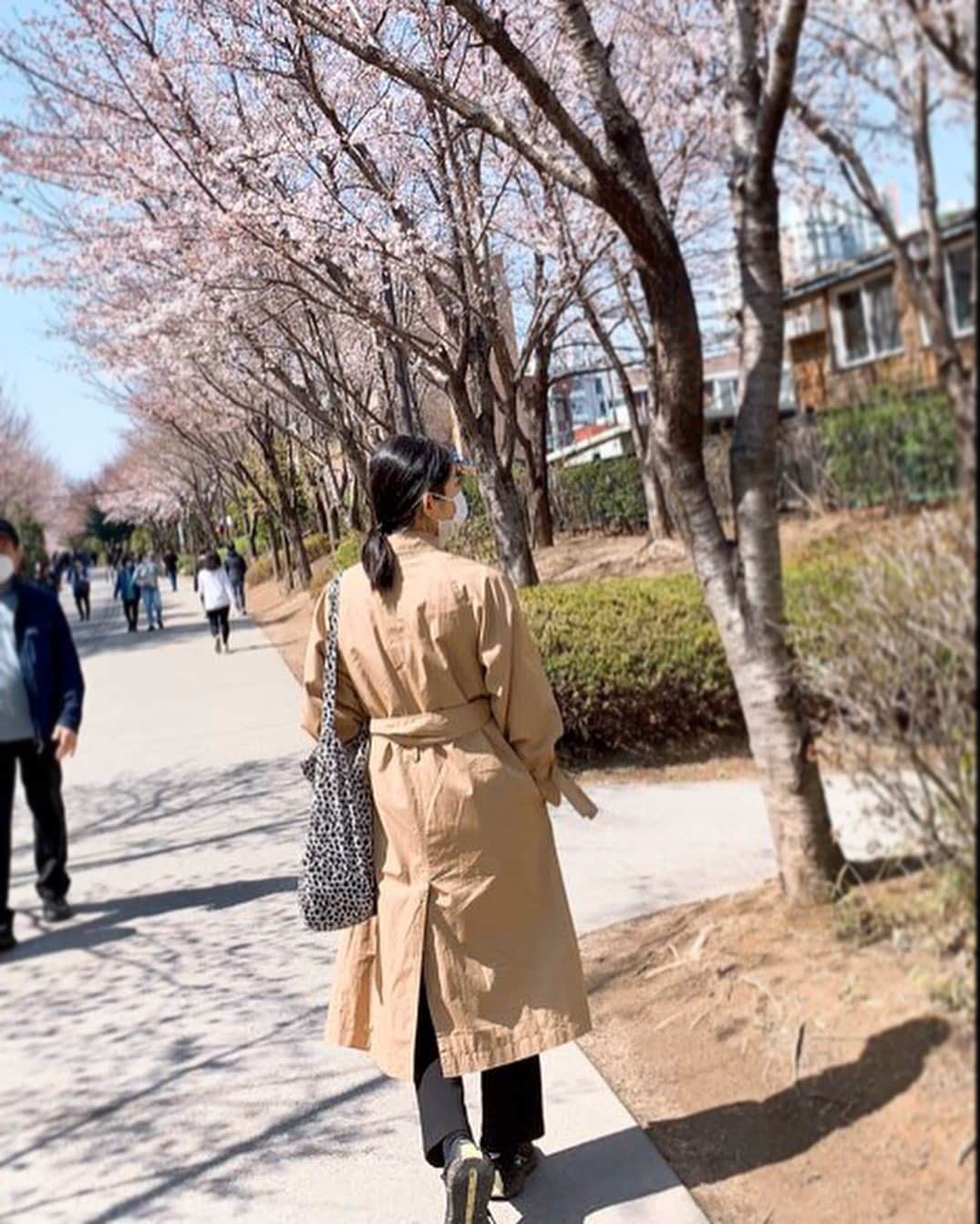 ソヒョン さんのインスタグラム写真 - (ソヒョン Instagram)「생각보다 꽃이 많이 폈네요 이제 봄이 오나봄 🎵🌸🌸」3月27日 18時33分 - kkwonsso_94