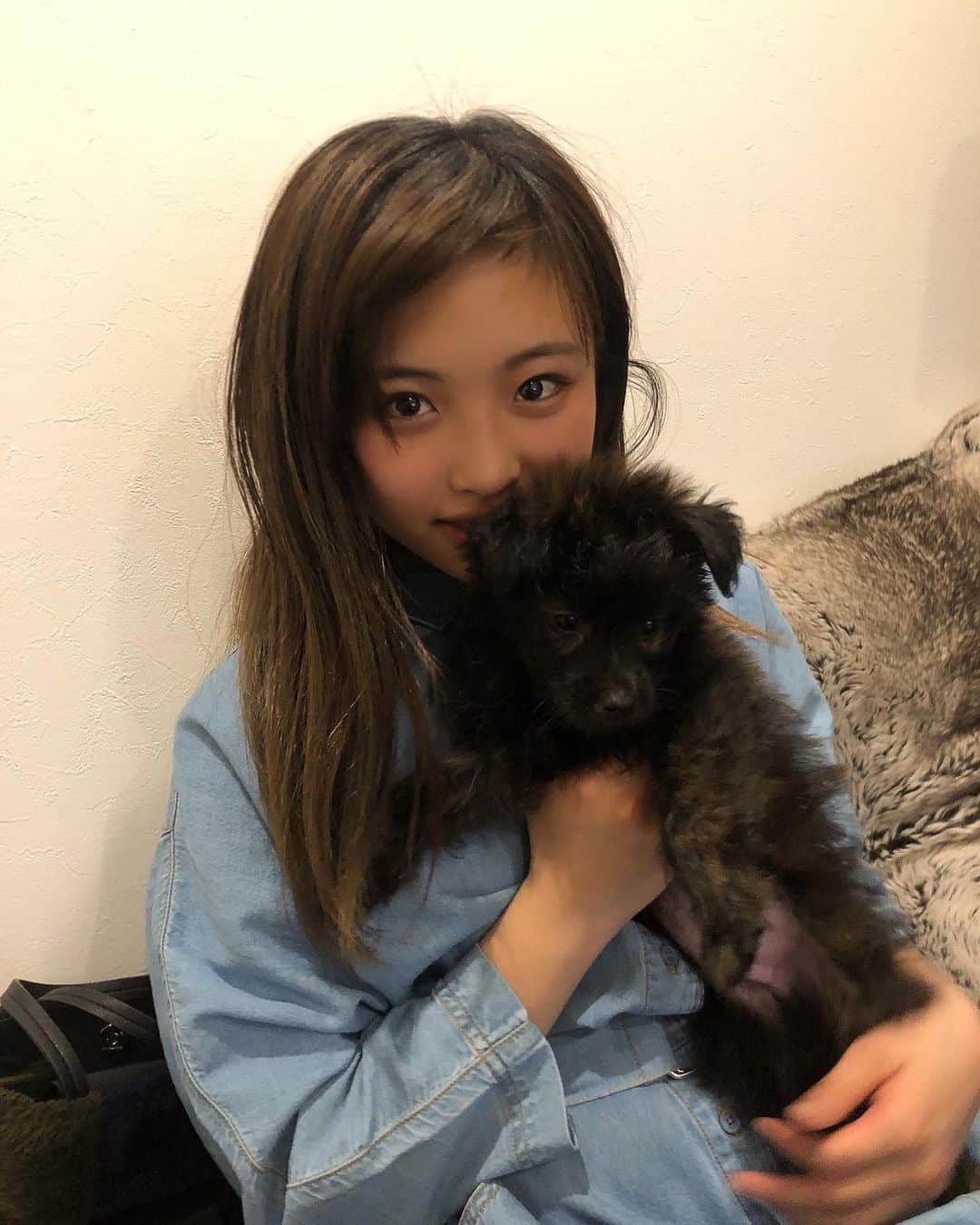 石井美音奈のインスタグラム：「名前はノア🐶男の子 トイプードルとポメラニアンのハーフだよ！これから沢山ノアの投稿増えると思うからみんなよろしくね❤️❤️ #ワンチャン #犬 #ノア #noah #ポメラニアン #トイプードル #ハーフ犬  #ノア専用ハンガー」