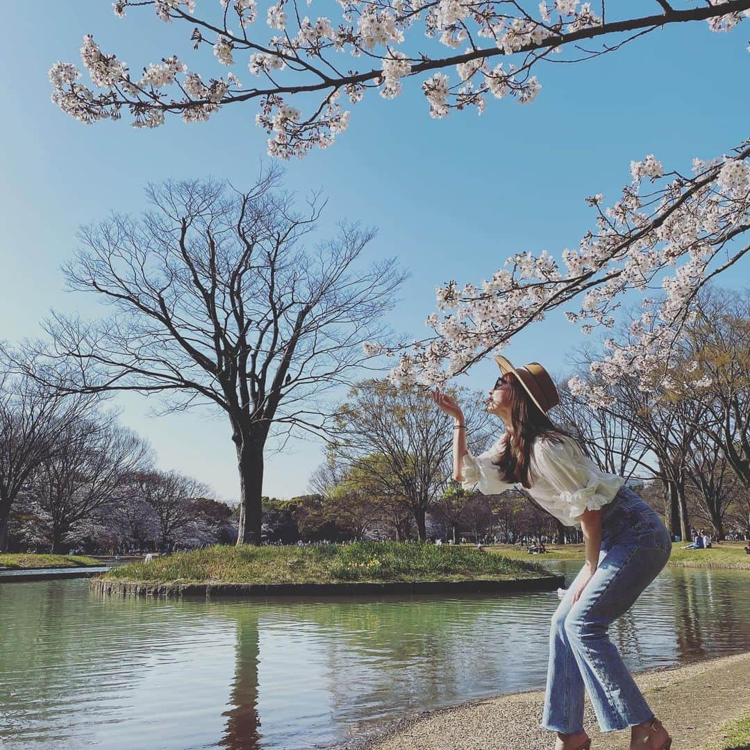 阪井あゆみさんのインスタグラム写真 - (阪井あゆみInstagram)「先週帰り道少しだけ🙏🏻🌸📷 来年もきっと咲きます。週末からの外出自粛致します。 #なのに #スーパー何もなくて #えって #思わず声でました #必要なものだけを🙏🏻 #東京 #どうか素敵な週末を #cherryblossom」3月27日 19時15分 - ayumisakai0121