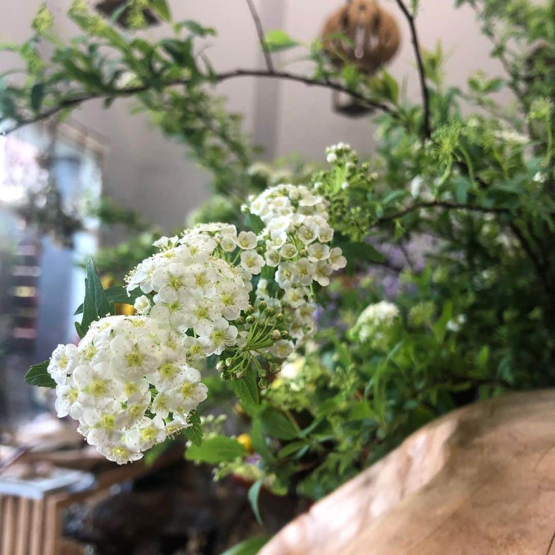 Warehouse TERRADA 寺田倉庫さんのインスタグラム写真 - (Warehouse TERRADA 寺田倉庫Instagram)「天王洲・ボンドストリート沿いのフラワーショップ「LORANS.」の店先には、チューリップやコデマリなど春のお花が並び、道行く人々の目を楽しませてくれます。 最近は室内で過ごす時間が増えたことで、生活にお花を取り入れる方が増えているようです。 フローリストの方にお花選びのコツを伺ったところ、アレンジメントにユーカリやリュウカデンドロンといったお花を加えることで、ドライフラワーにしても美しさが保てるため、より長い間楽しむことができるのだそうです。 この機会にご自宅でお気に入りのお花を飾り、春の訪れを感じてみてはいかがですか。  #寺田倉庫 #warehouseterrada #天王洲アイル #天王洲 #tennoz #ボードウォーク #ボンドストリート #ローランズ #lorans #flower #spring #reevesspirea #tulips #driedflower #eucalyptus #silverleaftree #florist #flowershop」3月27日 11時10分 - warehouse_terrada
