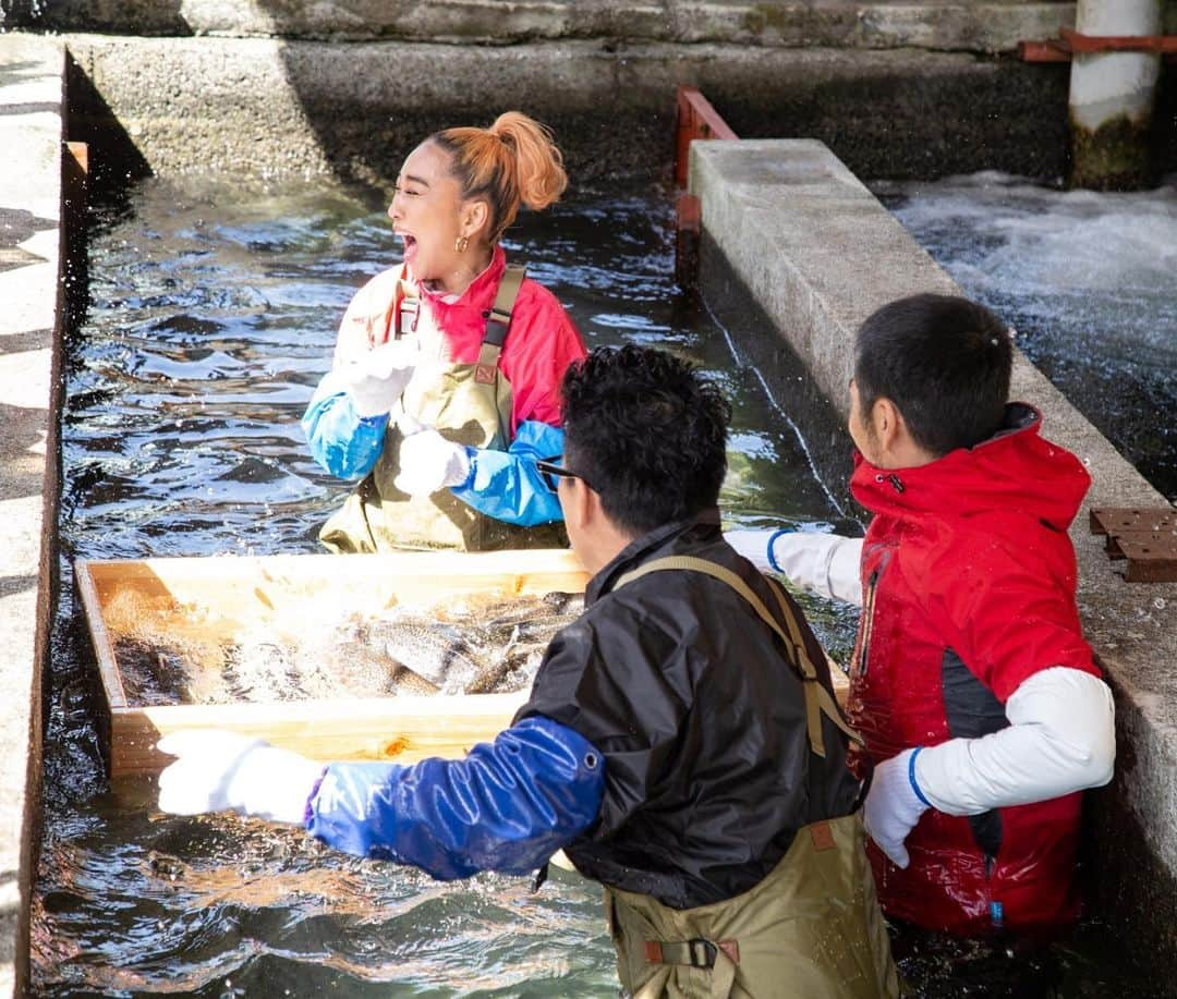 日本テレビ「満天☆青空レストラン」さんのインスタグラム写真 - (日本テレビ「満天☆青空レストラン」Instagram)「山梨県から﻿ 清らかな水と﻿ 名人の愛情たっぷりで育った﻿ 富士の介をご紹介します！﻿ ﻿ 料理は、富士山が﻿ きれいに見える場所を﻿ お借りして行いました！﻿ 何度見ても﻿ 富士山素敵です！﻿ ﻿ 明日放送です。﻿ ぜひご覧下さい⭐️﻿ ﻿ #満天青空レストラン﻿ #青空レストラン ﻿ #青空 #青レス #満天 ﻿ #宮川大輔 ﻿ #大ちゃん ﻿ #うまい﻿ #日テレ #日本テレビ﻿ #山梨県#南巨摩郡富士川町﻿ #ロケ﻿ #富士の介﻿ #青山テルマ﻿ #富士山」3月27日 11時20分 - aozora_official