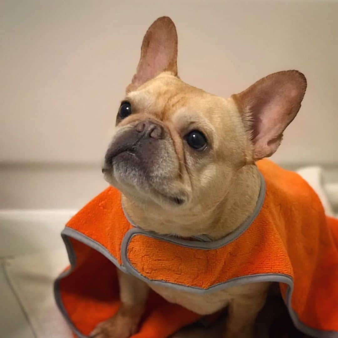Hamlinのインスタグラム：「Bath time hasn’t looked this good since...well, hmmm. Let’s just say some time before the Gregorian Calendar was created. .......... #tbt #bathtime #isthatagregoriancalendarjoke」