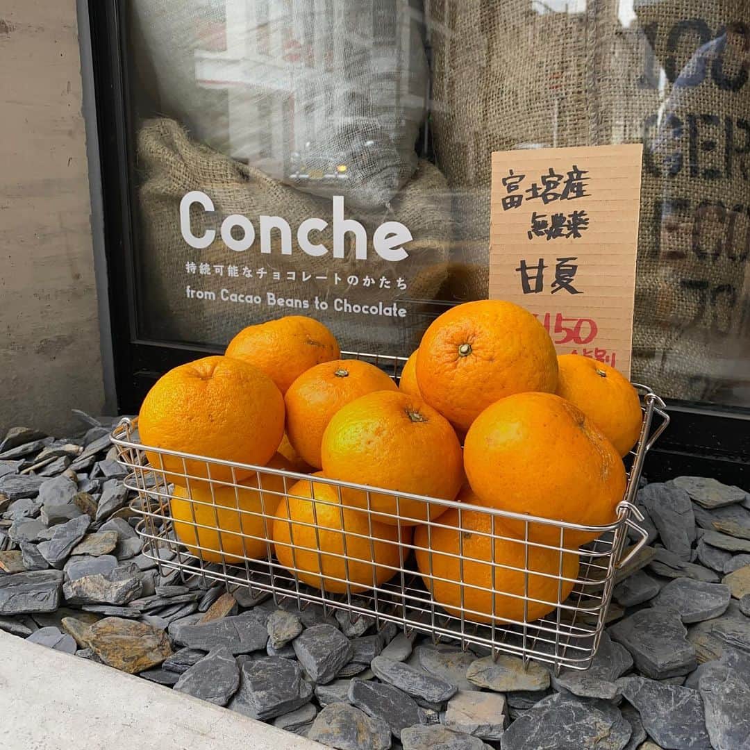 Concheのグルメインスタ