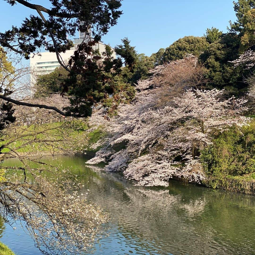 岡英里さんのインスタグラム写真 - (岡英里Instagram)「お花見日和だったのでお花見という名のお散歩してきた🌸 . . せっかくだから　@cupola_omotesando のまなみさんにアレンジしてもらったよ💓急だったのにありがとうございました❣️ . . 出向いて見るお花見って出店が楽しみだったりするから今年は無くて残念だったなあ😣 . . でもなんだかんだレストランのテラス席で観るお花見が人混みもなく落ち着いて見れるから好き😌💓 . . 早くコロナが終わりますように🙏 . . #お花見 #花見 #お散歩 #桜 #🌸 #cupolaomotesando #クーポラ表参道 #ヘアアレンジ #巻きおろし #巻きおろしアレンジ #ロングヘア #ロングヘアアレンジ #巻き髪 #可愛い #かわいい #可愛いは正義 #かわいいは作れる #お洒落大好き #お洒落さんと繋がりたい #春服 #ライダースコーデ #アラサー #アラサー女子 #お出かけ #japapnese #sakura #instagood #fashion #spring」3月27日 12時07分 - okaeri0424