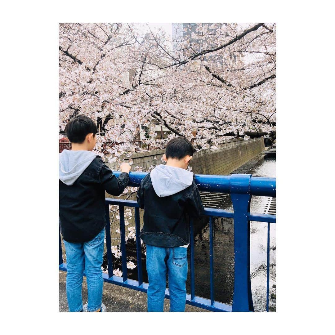 花清まゆこさんのインスタグラム写真 - (花清まゆこInstagram)「今年も、目黒川の桜は🌸綺麗だなー✨  習い事に行く途中に、自転車を止めてパシャリ📷  明日からお天気悪そうだから散ってしまうかな？💧 #桜　#さくら #sakura  #目黒川　#目黒川の桜  #fashion #ファッション　#gジャン　#セットアップ　#titivate #titivatestyle #靴　#エスパドリーユ #gu @gu_for_all_  #男の子ママ #兄弟ママ #ママコーデ #ママファッション　#プチプラコーデ #プチプラファッション  #2歳差育児 #2歳差兄弟  #兄弟コーデ #zara #zaraboy」3月27日 12時41分 - mayuusa610