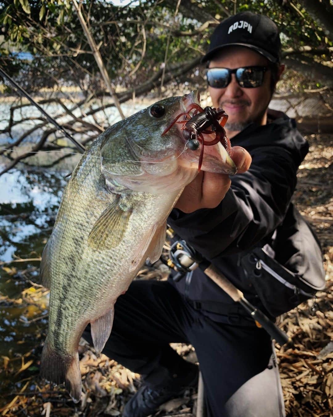 金森隆志さんのインスタグラム写真 - (金森隆志Instagram)「テーマ🌸春のザリガニ🦞  闘うザリガニ4.4を中心にいろいろなリグで50アップをアタマにザリ喰いバスを仕留めてきました✊⚡️ ワカサギ・シラウオという春を代表する旬なベイトなんて当然、存在しない池や河川の春の旬ベイトはザリガニ🦞になるケースは多く、特にマッディーシャローやカバー絡みでは大アリです✌️💨 参考になるかは不明ですが… １つの目安として水温15℃、コレがザリガニの冬眠SwitchONとOFF💨　春は10℃を安定的に超えて15℃前後から動き出し、冬は15℃前後から鈍くなり10℃くらいには冬眠💨ってのが個人的な感じです🦞」3月27日 12時45分 - kanamori_raidjapan