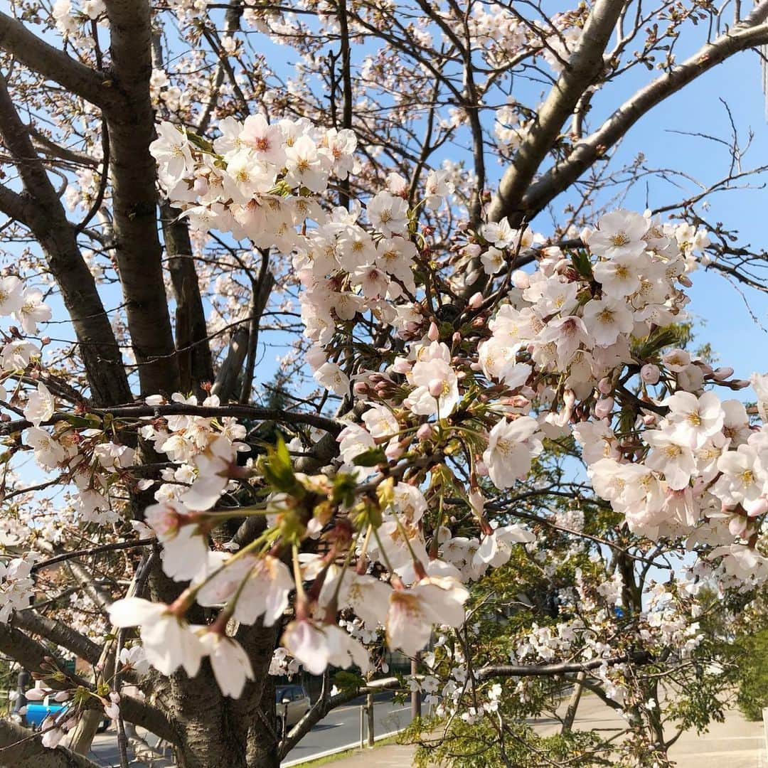 yu-coさんのインスタグラム写真 - (yu-coInstagram)「先日の#code ・ ・ 幼稚園のお友達で集まって久しぶりに公園へ𓅪 ・ 今年は送別会が出来なかったから最後に年長さん達に会えて良かった☺︎ ・ ・ outer: @cookiechocolate_official  tops: @jungle_jungle_jgcollection  bottom: @zara  cap: @uniqlo  bag: @vasic_japan  shoes: @converse_jp ・ ・ ⑅⃝詳しくはblogでご紹介しています → https://ameblo.jp/mainichi-okaimonobiyori ┈┈┈┈┈┈┈┈┈┈┈┈┈┈┈┈ #先日のコーデ #ママコーデ #きれいめカジュアル #大人カジュアルコーデ  #rakuten #rakutenfashion #uniqlo  #uniqloコーデ　#zara #vasic」3月27日 13時02分 - yu_co.yu_co