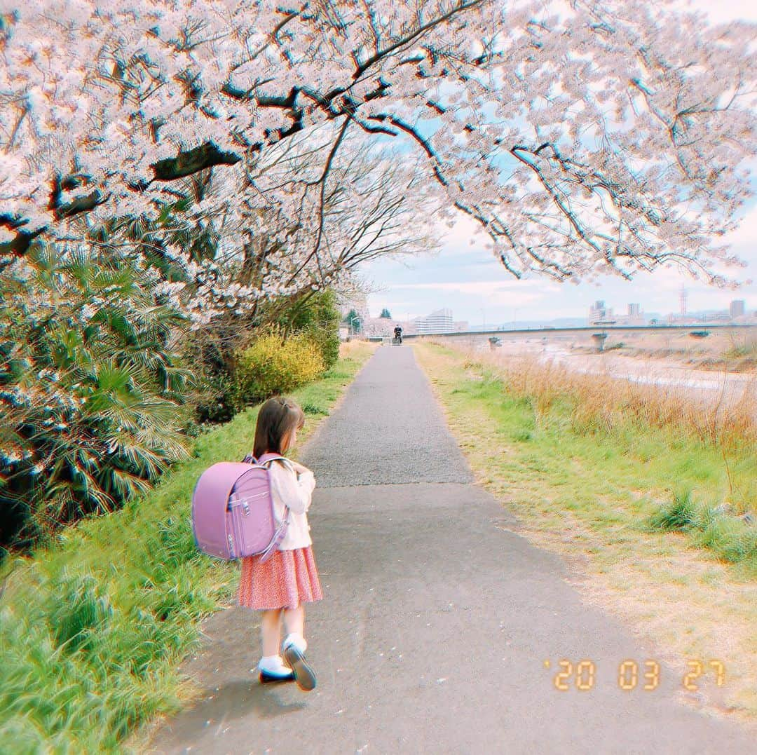 Megumiのインスタグラム：「桜が満開の時に🌸🎒 #もうすぐ1年生  ランドセル が大きいな〜✨」