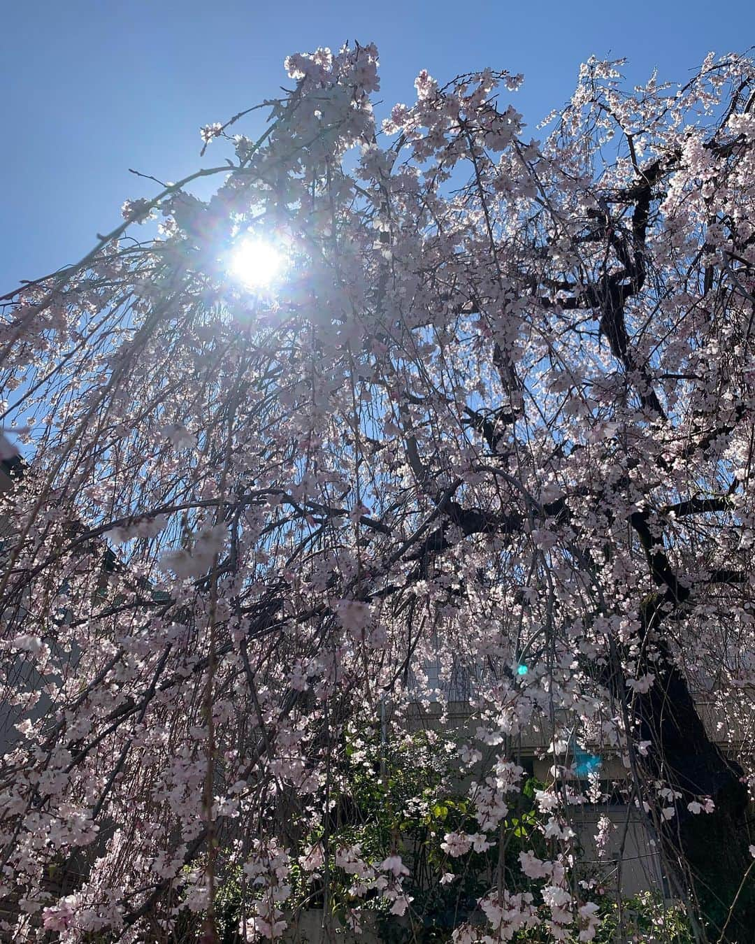 福西崇史のインスタグラム