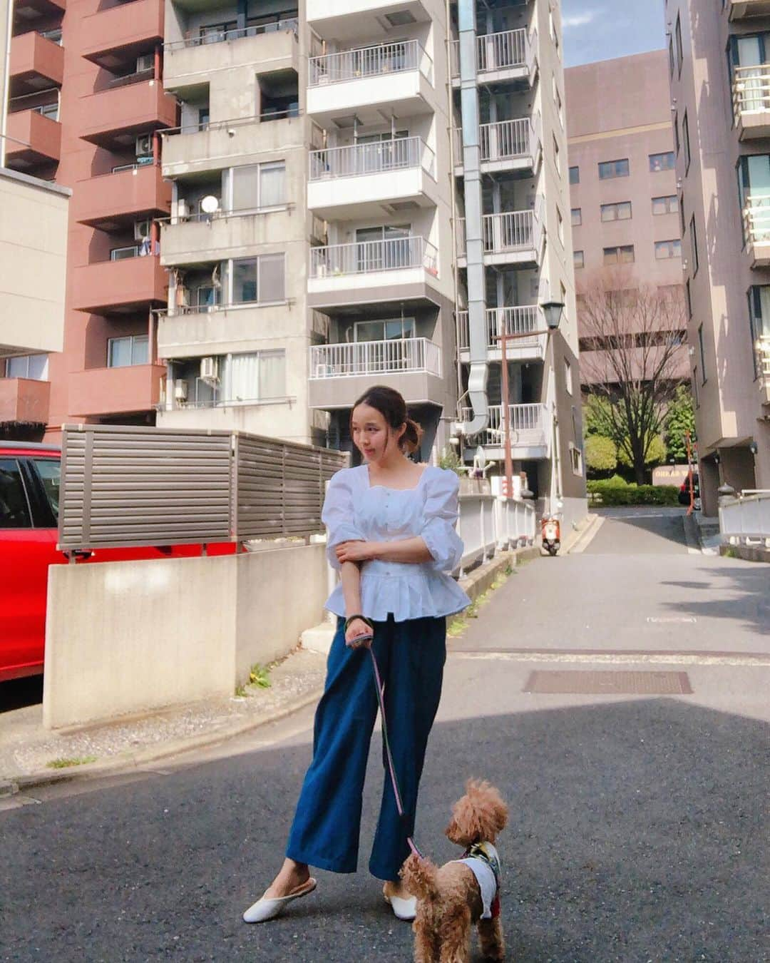 関口未来さんのインスタグラム写真 - (関口未来Instagram)「🌸148㌢　ママコーデ🌸 フロントボタンの可愛いブラウスを発見するとテンションがあがる♡ @ranie_official のスクエアネックペプラムブラウス🌸 . 前開きだから、授乳も簡単だし、中にインナーを見せても可愛いし、上から重ね着しても無敵♡ そしてデニムとの相性ばつぐん👖 . とても軽い素材なので夏まで活躍しそう😍 ストーリーにURLも貼っておきました✌️ . #ママコーデ #男の子ママ  #新米ママ #新米ママと繋がりたい  #ranie #ママファッション  #おちびの輪 #おちびコーデ #148cmコーデ  #おしゃれさんと繋がりたい  #ワンオペ育児  #0歳  #boymom  #授乳コーデ #ペプラムブラウス #今日のコーデ #ootd #コーディネート #mamagirl #millymilly #たまひよメイト #たまひよ公式グラマー  #生後1ヶ月  #子育て  #愛犬のいる暮らし #令和2年ベビー  #読者モデル #フォロワー募集 #coordinate #pr」3月27日 19時47分 - miki.sekiguchi_x