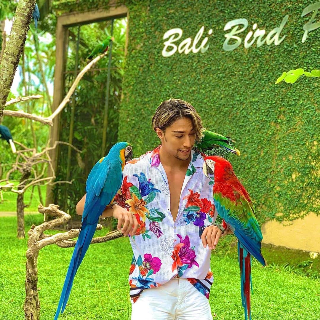 當間ローズのインスタグラム