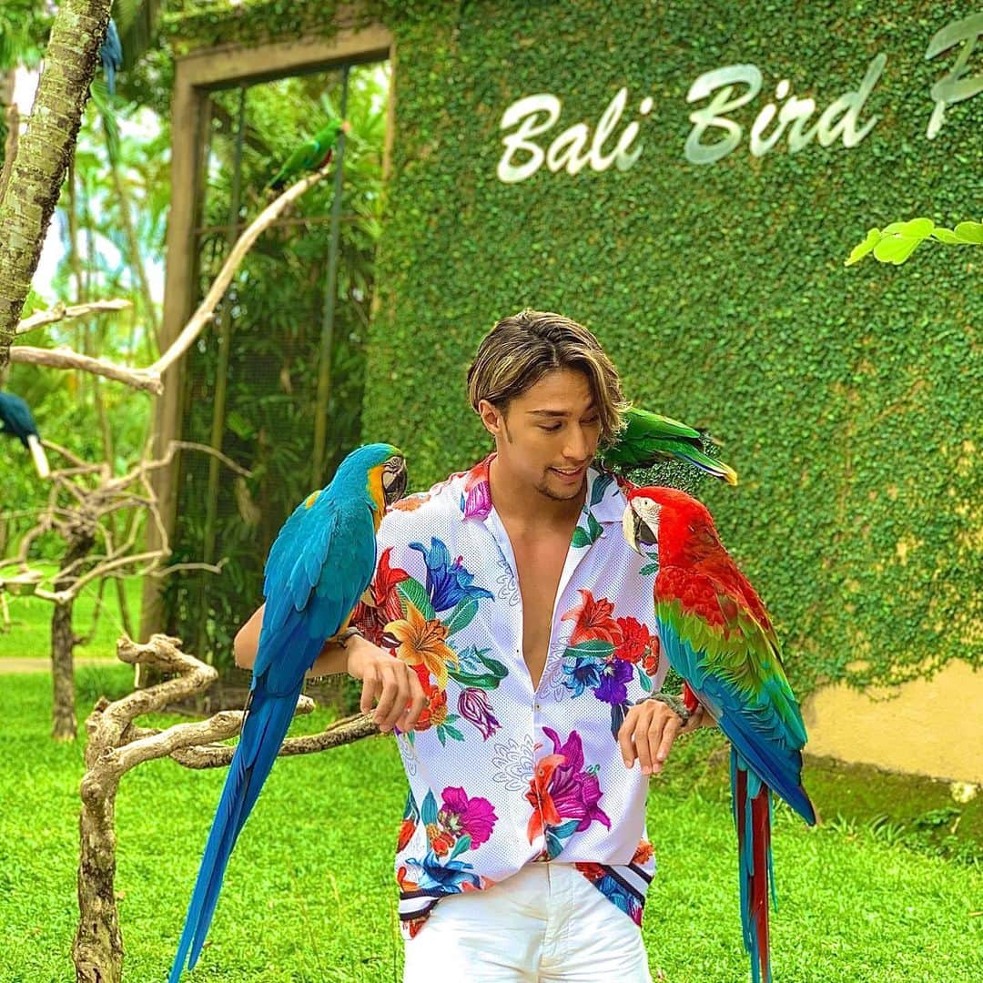當間ローズのインスタグラム：「New friends🦜  友達シリーズ🌹 新しい友達を紹介します！ アオ君、レッド君、ミドリちゃん🦜  #friends #bird #bali #birdpark #當間ローズ  #ラテン  #ハーフ  #モデル #湖西市 #toumarose #singer #Artist #Model #Tokyo #japan #Brazilian #brasil  #japanese #italian #fashion #fitness #muscle #body #workout #sexy」