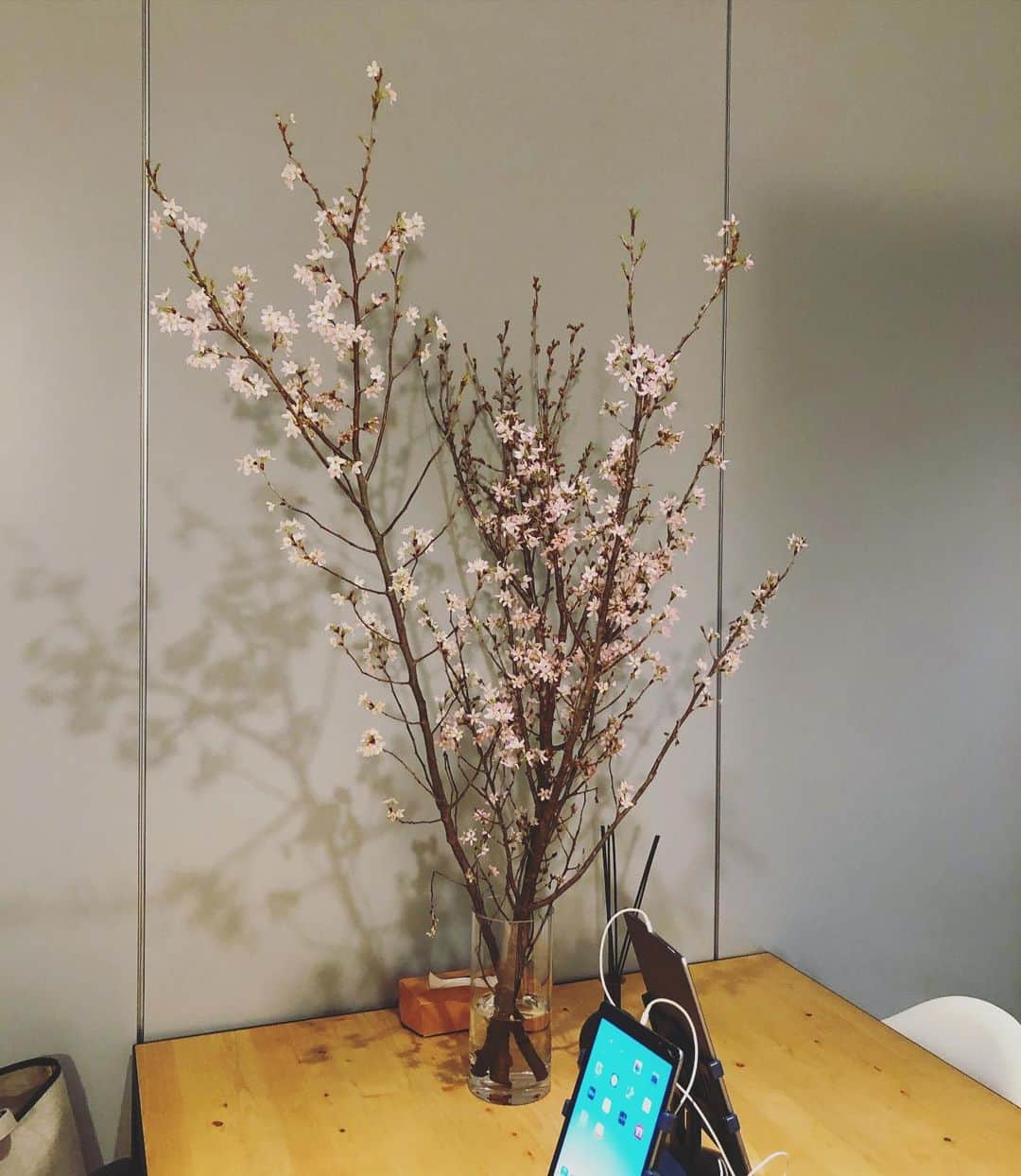 Marisolさんのインスタグラム写真 - (MarisolInstagram)「ロケ終了後、「お花見は来年までお預けだね〜」なんて話しながらスタジオ入りしたら、カメラマン🐟さんが用意してくれた大きな桜の枝が🌸！撮影しながら、束の間のお花見気分を味わえました🙏🏻。お花のパワーってやっぱり格別！この週末はおうちにおこもり、という方が多いはず。みなさまもぜひ、こんな時だからこそおうちにお花を飾ってみませんか？思った以上に癒されますよ☺️🌸#マリソル #marisolonline #お花見2020 #桜 #サクラ#花を飾ろう」3月27日 15時03分 - marisolmagazine