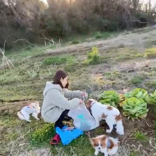 長谷川朋美のインスタグラム