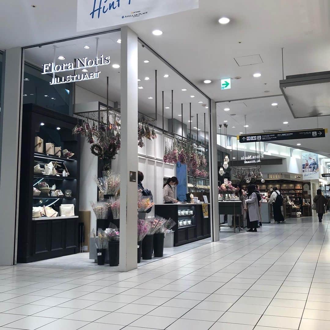 poroco（ポロコ）のグルメインスタ