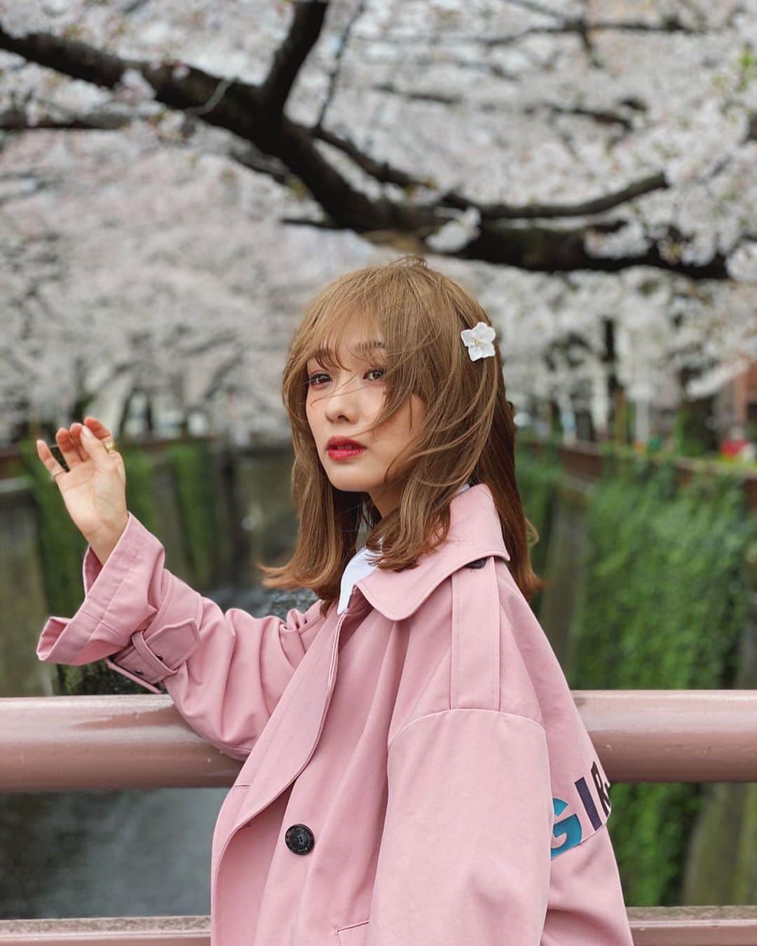 前田希美（まえのん）さんのインスタグラム写真 - (前田希美（まえのん）Instagram)「お仕事の移動中に目黒川を通ったら 桜が満開でした🌸  N WITH.の新作シャツワンピを着て るんるんです。  前が短くて後ろにかけて長くなってる アシメのデザインです。 シャツでシックに、そして 袖のリボンが甘さをプラスしてくれます。  カラバリも最高なので、 すっごく迷っちゃうと思う…(小声) 先に言っておきます。笑  裏地もしっかりついてるので 全く透けないし、袖は1枚なので涼しく着れます～☺︎︎ 本当におすすめポイントたくさんでお気に入り。  のんは全色買う予定！！ めっちゃ可愛いくできたので、 早く皆様にお届けしたいです♡ 発売をお楽しみに。  どうぶつの森のしすぎで、 落ちてる桜を見てたら頭につけたくなったのは内緒。  #のんの私服 #nwith #エヌウィズ  #目黒川 #目黒川桜 #🌸 #meguroriver @n_with_official」3月27日 17時18分 - maeda_nozomi