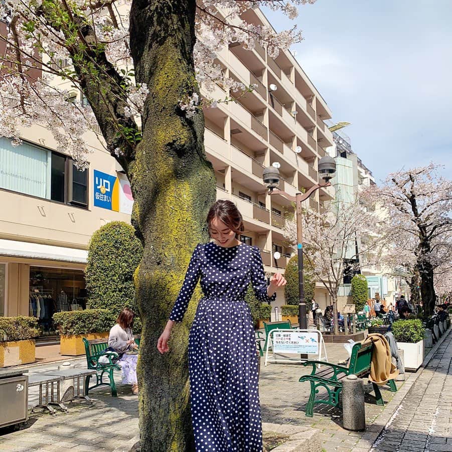 小祝麻里亜さんのインスタグラム写真 - (小祝麻里亜Instagram)「とある日。春から小学校に入学する、ちっちゃいお友達が撮ってくれました😊📸ありがとう〜✨関東の桜は葉が生えてきたり、満開だったり、まだ8分咲きだったり？ 今年もたくさん温かい気持ちにしてくれてありがとう🌸🌸🌸#桜 #sakura #벚꽃  one-piece. @seventenbymihokawahito  shoes. JACK PURCELL ( @converse_jp ) ＿＿＿＿＿＿＿＿ #outfit #coordinate #look #instafashion #셀스타그램 #얼스타그램 #코디 #스타일링 #데일리 #데일리룩 #오오티디  #コーデ #ワンピースコーデ」3月27日 17時37分 - maria_koiwai
