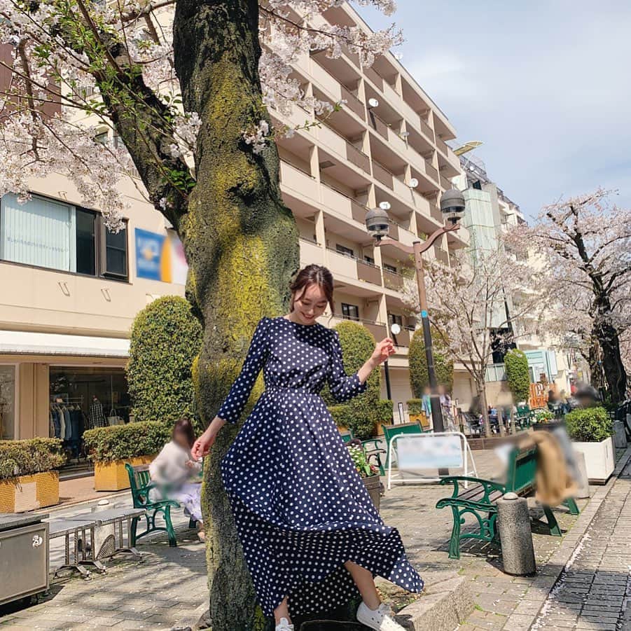 小祝麻里亜のインスタグラム：「とある日。春から小学校に入学する、ちっちゃいお友達が撮ってくれました😊📸ありがとう〜✨関東の桜は葉が生えてきたり、満開だったり、まだ8分咲きだったり？ 今年もたくさん温かい気持ちにしてくれてありがとう🌸🌸🌸#桜 #sakura #벚꽃  one-piece. @seventenbymihokawahito  shoes. JACK PURCELL ( @converse_jp ) ＿＿＿＿＿＿＿＿ #outfit #coordinate #look #instafashion #셀스타그램 #얼스타그램 #코디 #스타일링 #데일리 #데일리룩 #오오티디  #コーデ #ワンピースコーデ」