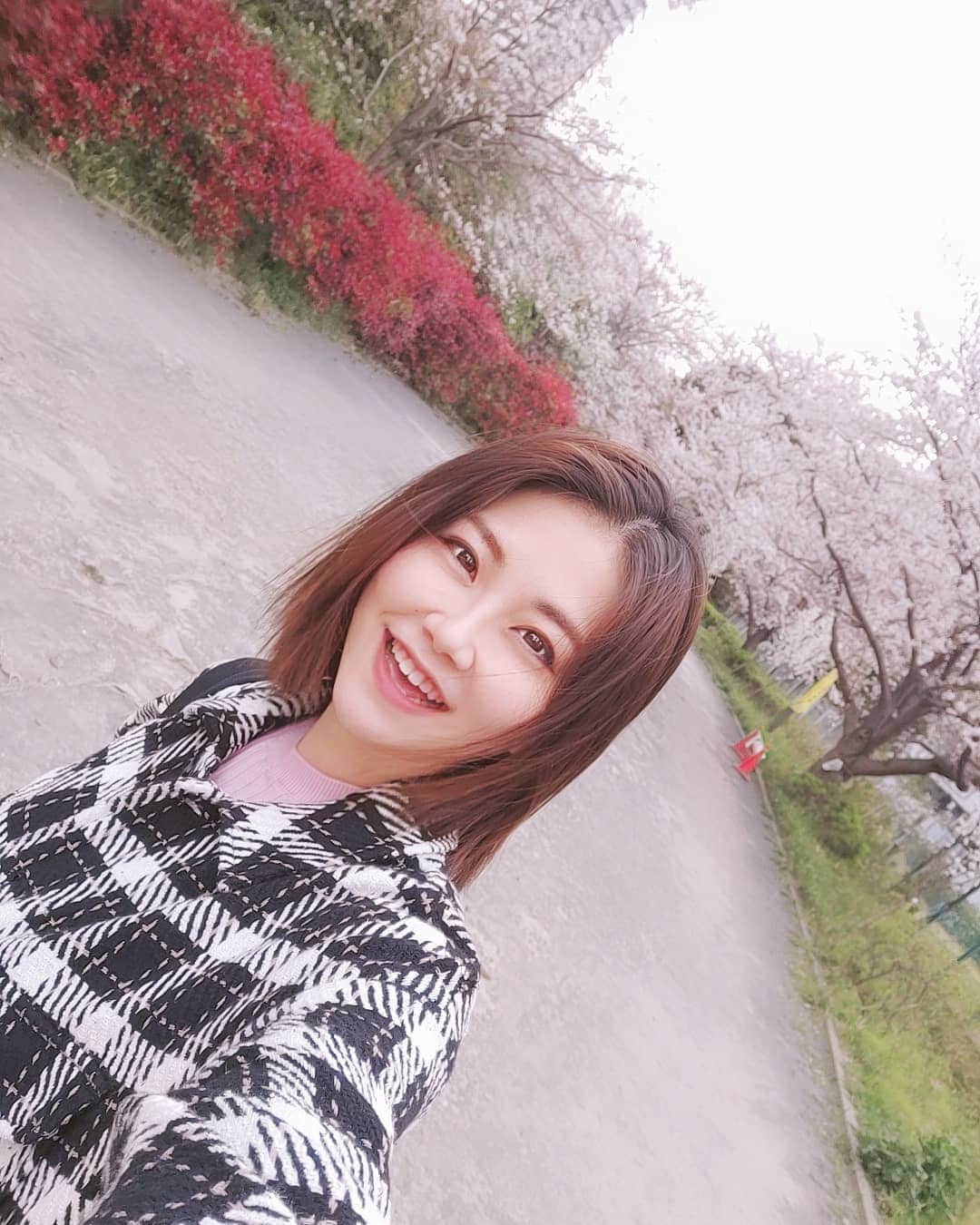 斎藤みどりのインスタグラム