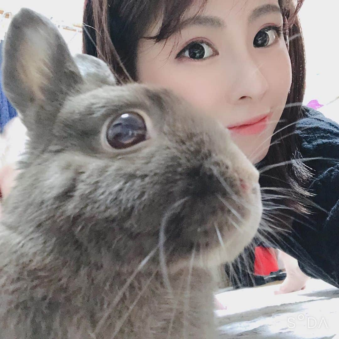 桜花りなさんのインスタグラム写真 - (桜花りなInstagram)「ふわふわ〜🐰♡ みんなは何か飼ってるの〜?? #うさぎ　#可愛い　#ペット　#実家」3月27日 17時52分 - xxyuricornxx