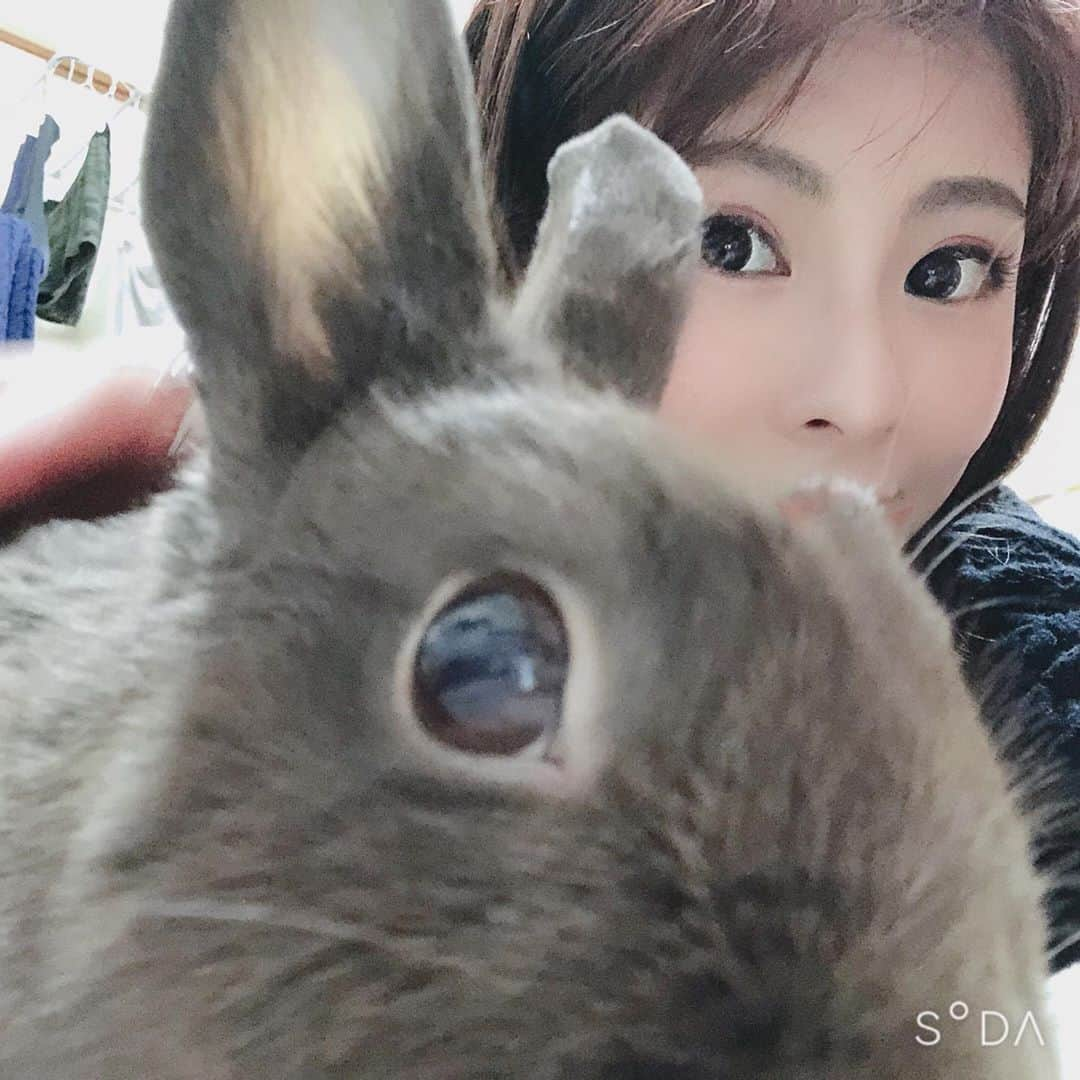 桜花りなさんのインスタグラム写真 - (桜花りなInstagram)「ふわふわ〜🐰♡ みんなは何か飼ってるの〜?? #うさぎ　#可愛い　#ペット　#実家」3月27日 17時52分 - xxyuricornxx