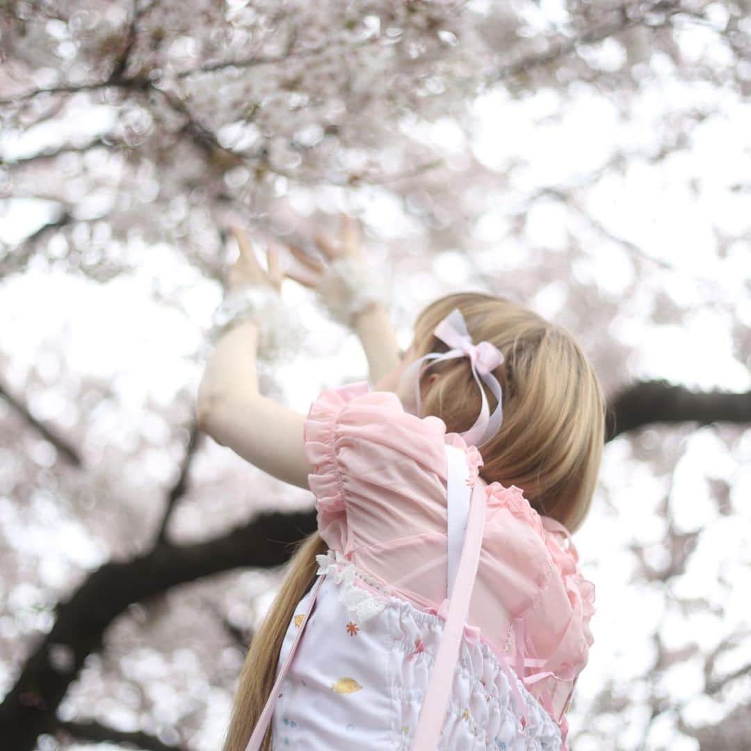 姫沢のインスタグラム：「🌸🌸🌸🌸🌸 #himezawa #hanami #throwback #lolitafashion #angelicpretty #ロリータファション　#姫沢　#モデル　#花見」