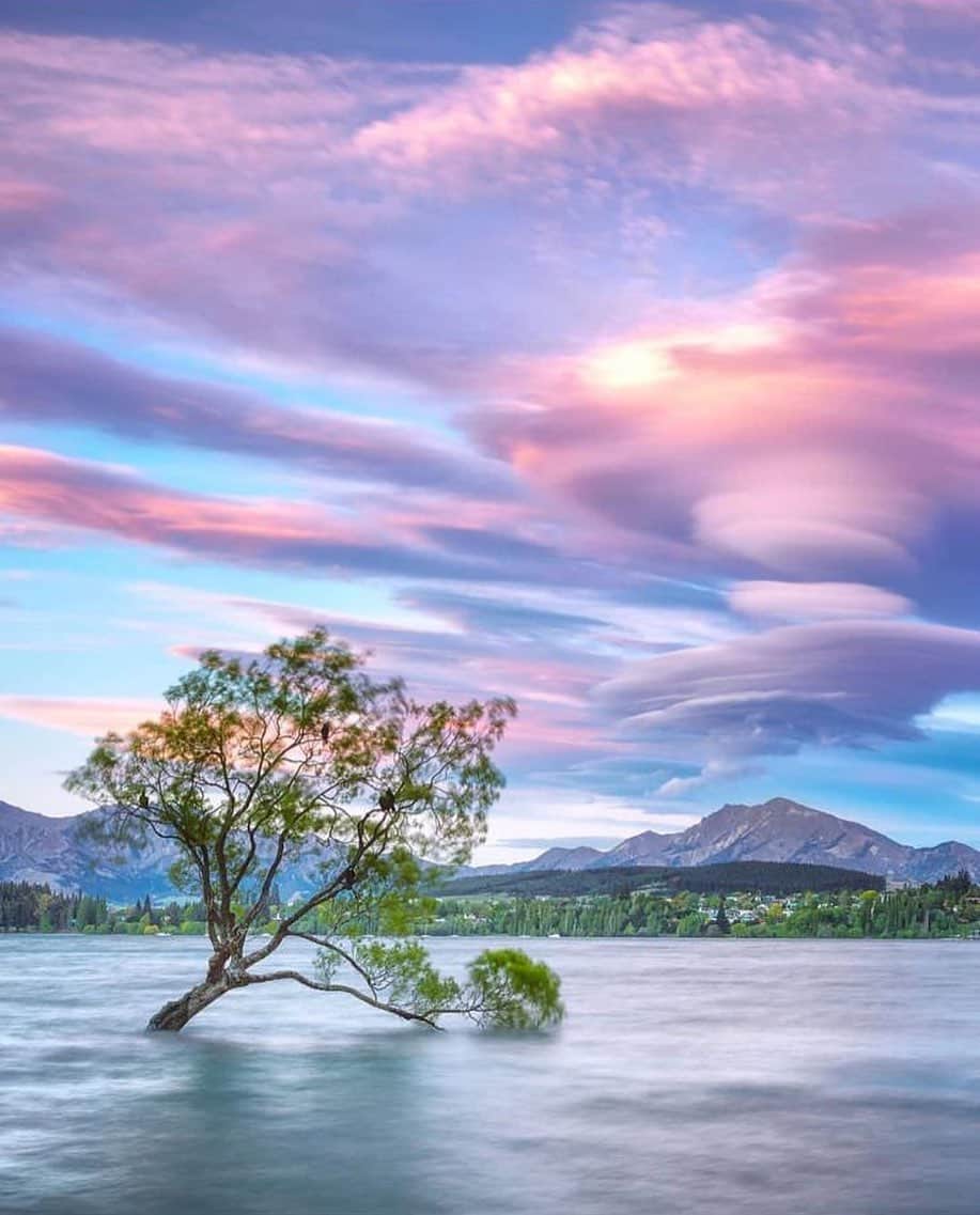 Wonderful Placesさんのインスタグラム写真 - (Wonderful PlacesInstagram)「Wanaka Lake - New Zealand ✨💜💜💜✨ . Picture by ✨✨@kieranstoneau✨✨ #wonderful_places for a feature 💜」3月28日 4時11分 - wonderful_places