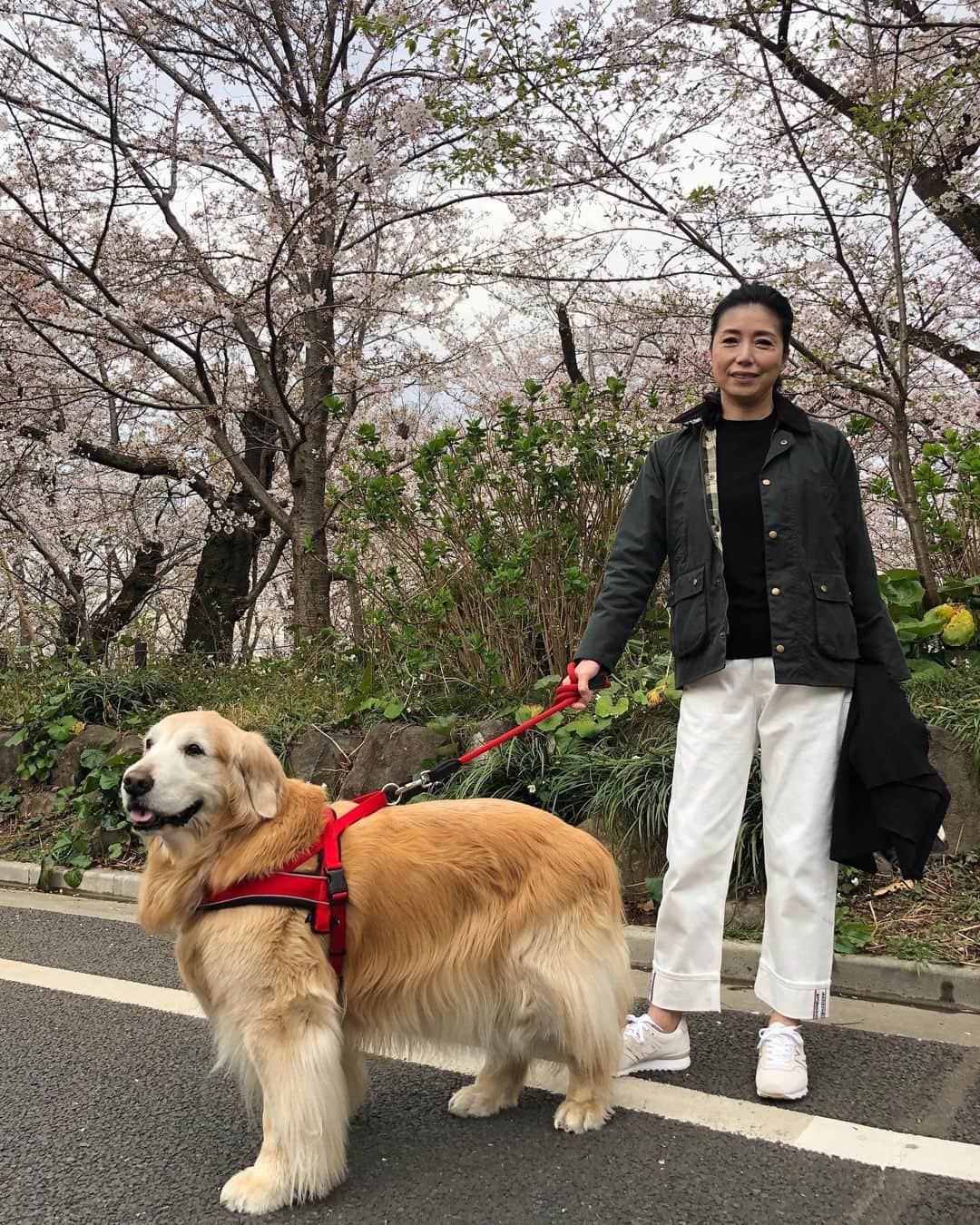 高橋ひとみのインスタグラム