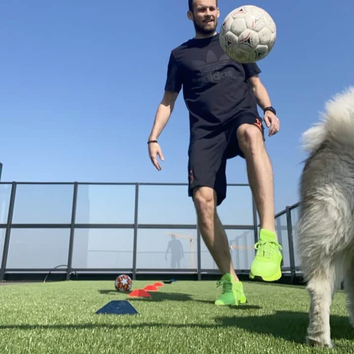 デイリー・ブリントのインスタグラム：「🐺⚽️ @adidas #HomeTeam」