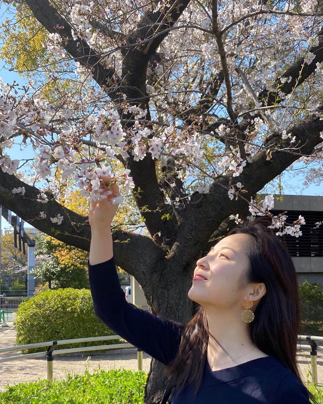 大慈弥レイさんのインスタグラム写真 - (大慈弥レイInstagram)「今年はこんな風にはできないけれど… 来年はきっと、みんなで桜を楽しめるといいですね  #2020#tokyo#spring#stayhome#stayhomechallenge」3月27日 20時13分 - rei_ojimi