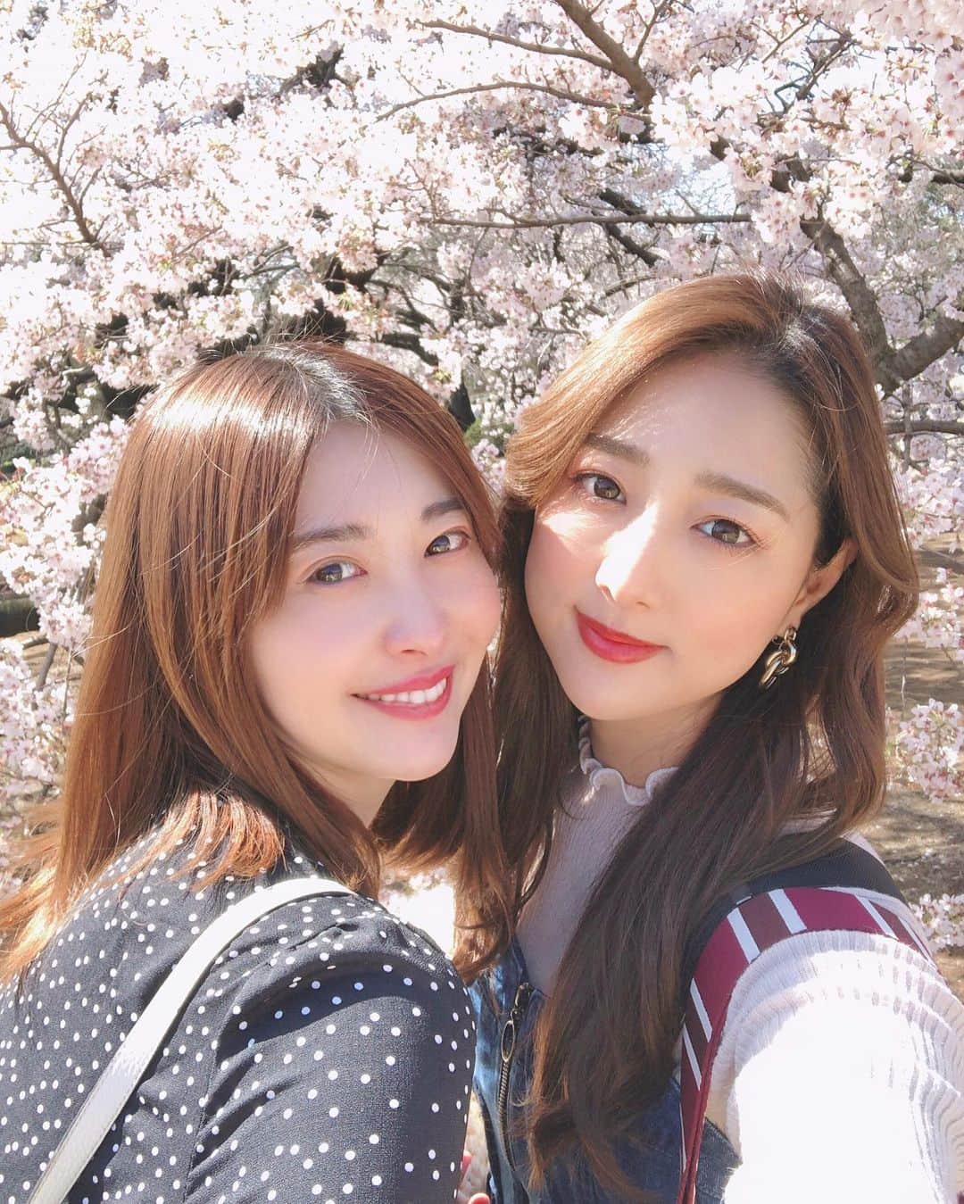 のインスタグラム：「先日 もよこと新宿御苑にお散歩お花見に行ってきましたぁ☺️🌸 ・ ・ ・ 規制かかる前に桜見れましたぁ🥺🌸🙏 ・ ・ ・ 今日から新宿御苑はコロナ規制のため閉園しちゃってるみたいです🥺 ・ ・ ・ 早く終息する様に願うのみです🙏 ・ ・ ・ ・ 週末おうちでゆっくり過ごしましょうね😌 ・ ・ ・ #桜」