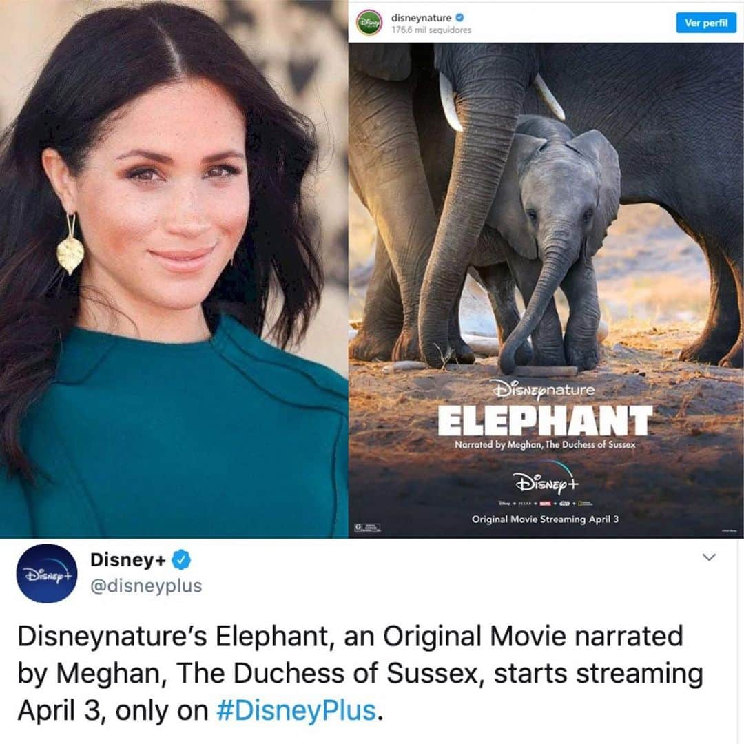 Despierta Americaさんのインスタグラム写真 - (Despierta AmericaInstagram)「Meghan Markle consigue su primer trabajo. La Duquesa de Sussex prestará su voz al documental #Elephant  de @disneyplus」3月27日 21時07分 - despiertamerica