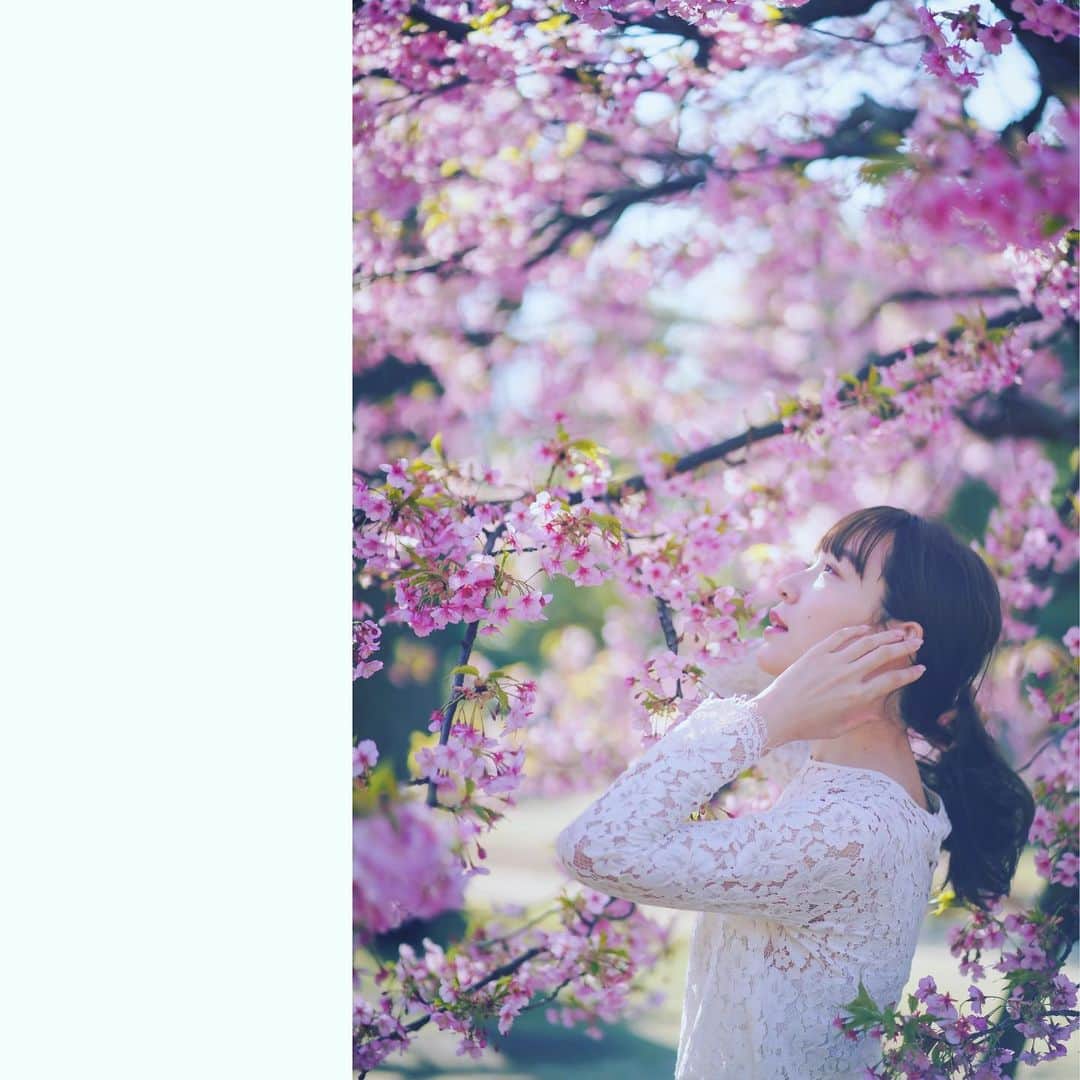 なつのインスタグラム：「毎年見てる桜も 今年は桜の周りに人が少なくて 桜がちょっぴり寂しい顔をしてるように感じた。 #桜　#🌸　#ポートレート　#2020桜　#写真　#ポートレート撮影 #被写体　#代々木公園　#被写体募集中 #photography #photo #blossom #flower #japan #yoyogipark #spring #観光　#camera #カメラ」