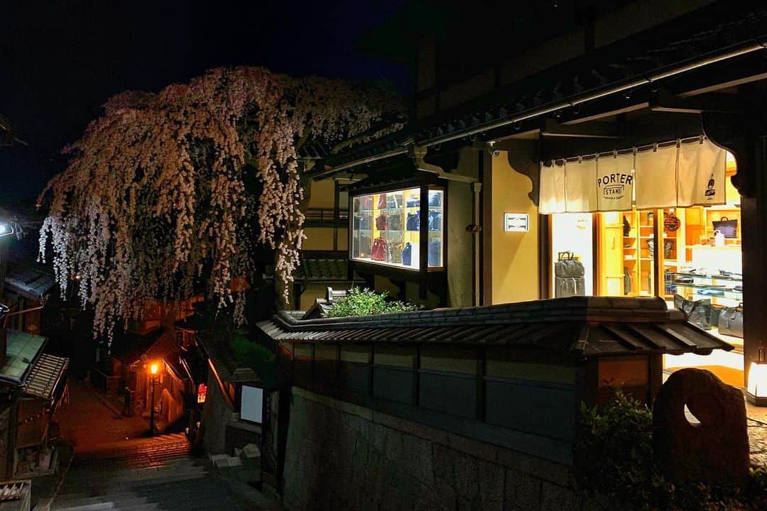 PORTER STANDさんのインスタグラム写真 - (PORTER STANDInstagram)「『PORTER STAND KYOTO』﻿ ﻿ PORTER STAND 京都店は、京都を代表する観光地・清水寺に通じる産寧坂にあり、店内はその景観に寄り添うように日本の古くから用いられてきた天然素材で仕上げた落ち着いた空間です。﻿ ﻿ 住所：京都府京都市東山区清水2-222﻿ 電話番号：075-541-0222﻿ 営業時間：10:30～19:00﻿ 定休日：不定休﻿ ﻿ お近くにお越しの際は、清水の風情や四季を感じられるPORTER STAND京都店にお立ち寄りください。﻿ スタッフ一同、心よりお待ちしております。﻿ ﻿ #吉田カバン #ポーター #yoshidakaban #porter #luggagelabel #porteryoshida #madeinjapan #japan #porterstand #shinagawa #tokyo #kyoto #kiyomizudera #sannenzaka #cherryblossom」3月27日 21時34分 - porter_stand