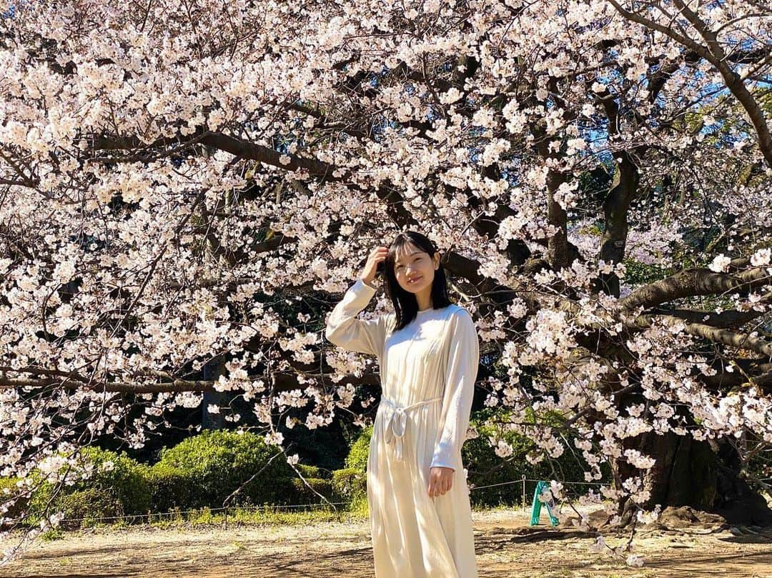 山崎丹奈のインスタグラム：「. リフレッシュできました🌸」